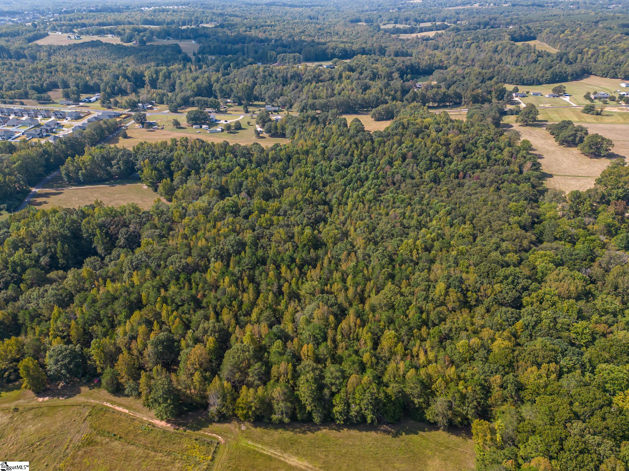 276 Burns Road Greer, SC 29651 - Photo 5 of 22