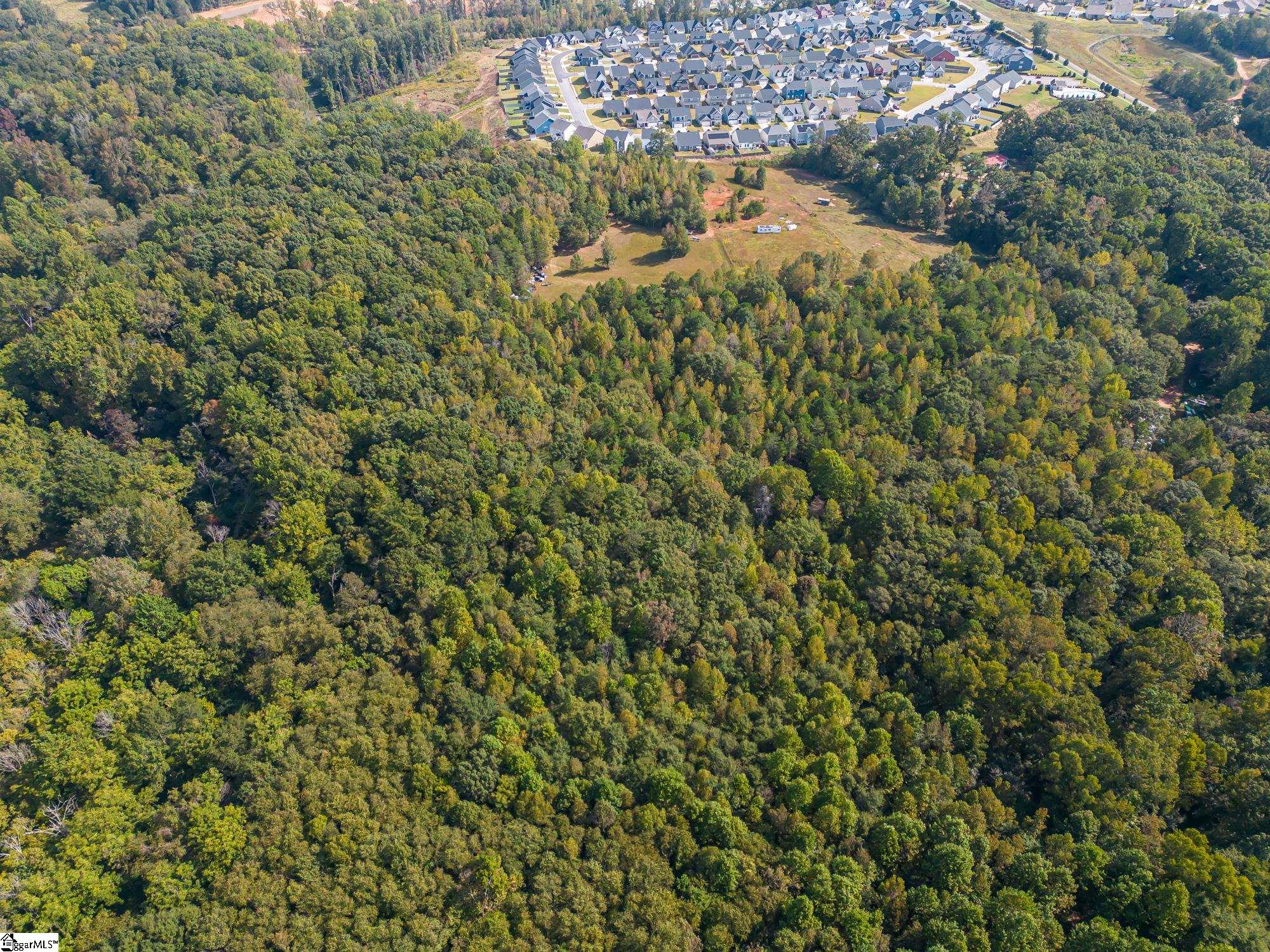 276 Burns Road Greer, SC 29651 - Photo 8 of 22