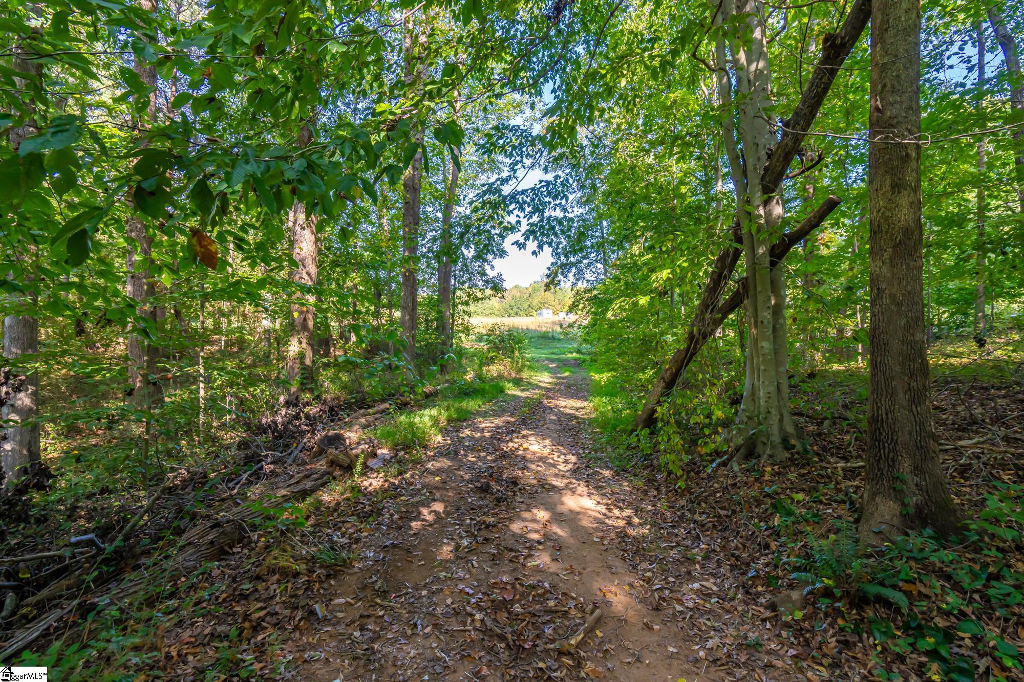 276 Burns Road Greer, SC 29651 - Photo 10 of 22