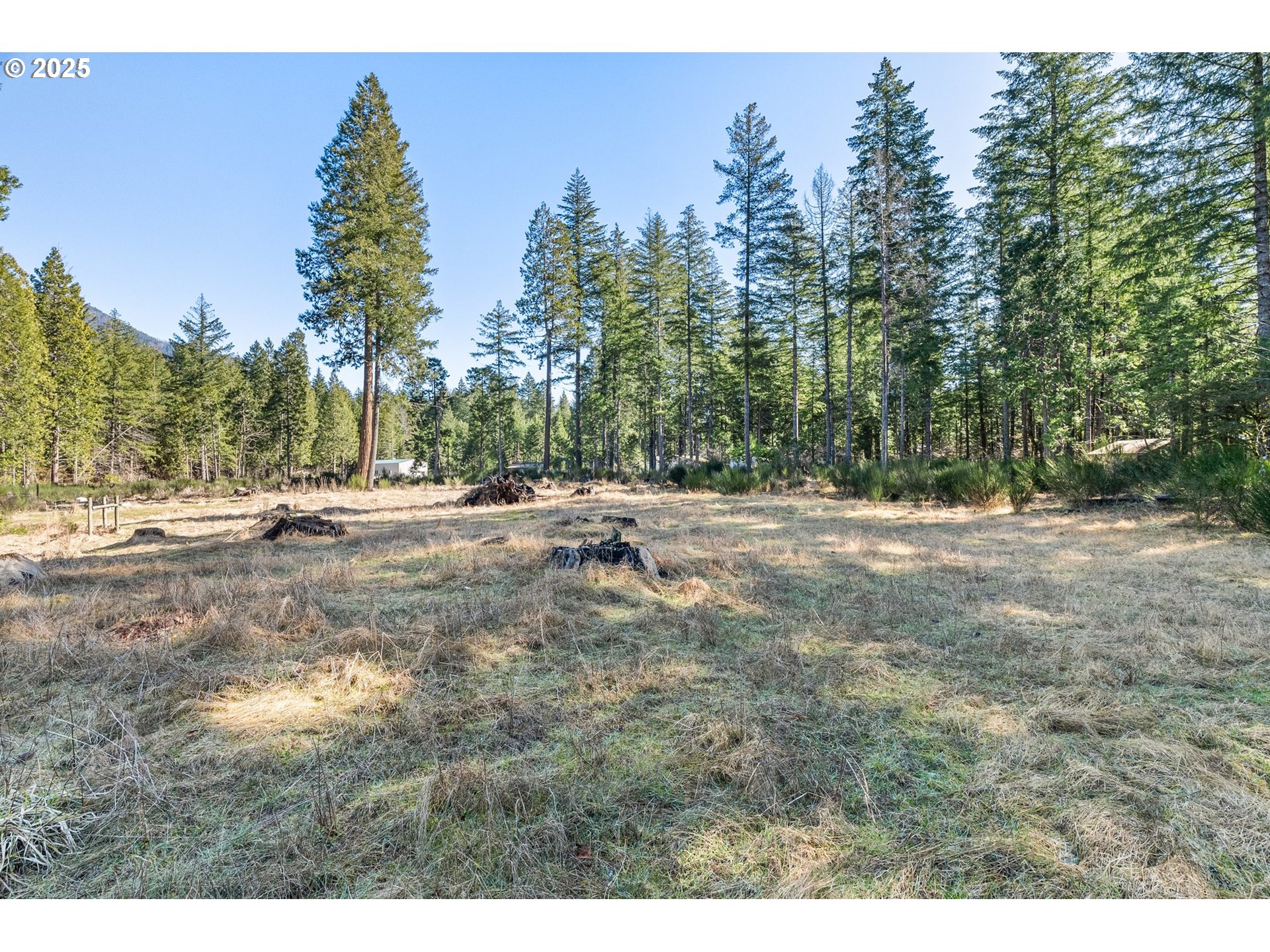 Alma Drive Blue River, OR 97413 - Photo 3 of 6