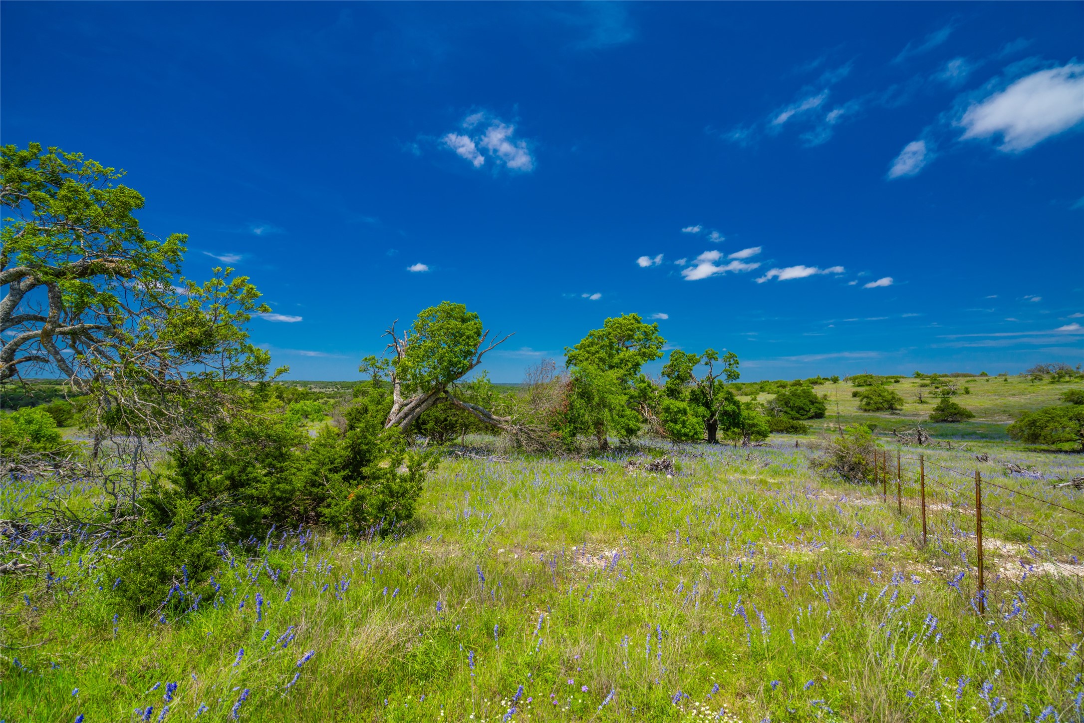 0 Jung Road Harper, TX 78631 - Photo 13 of 17 a view of an outdoor space and a yard