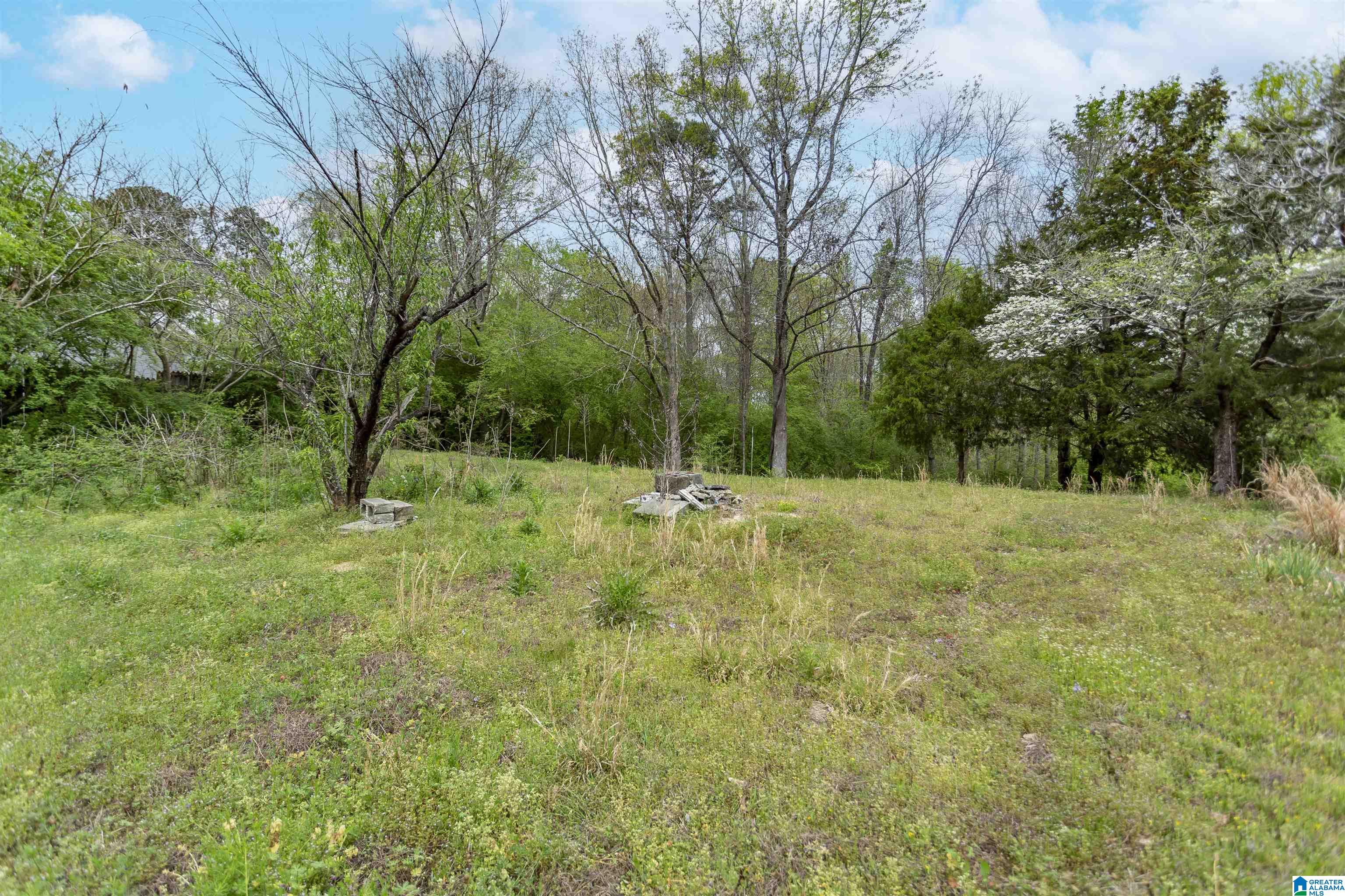 1486 Self Creek Road Morris, AL 35116 - Photo 36 of 40
