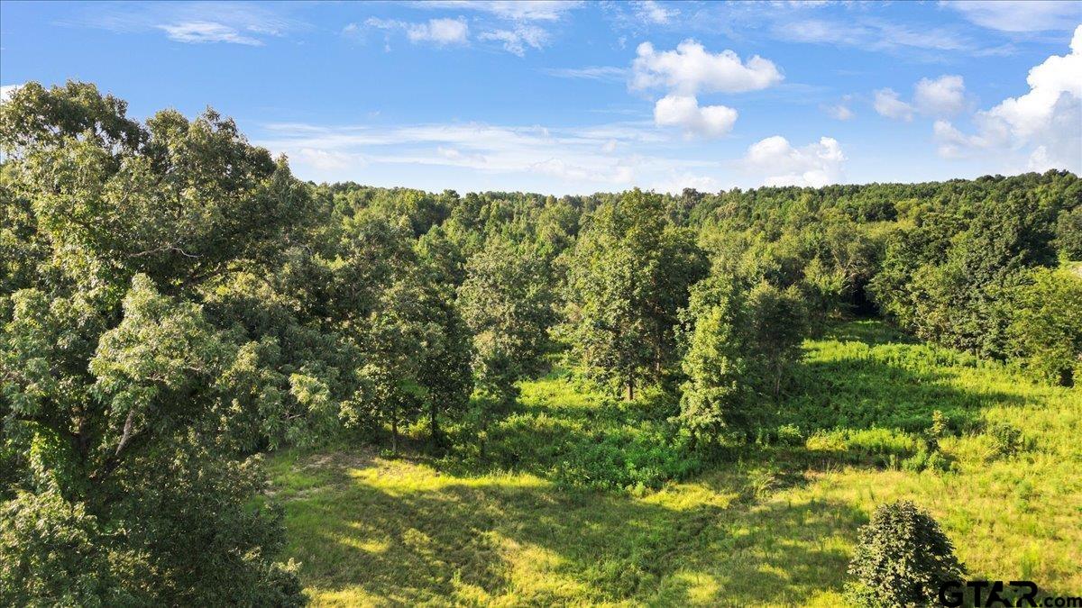 16508 Highway 31 West Tyler, TX 75705 - Photo 12 of 17