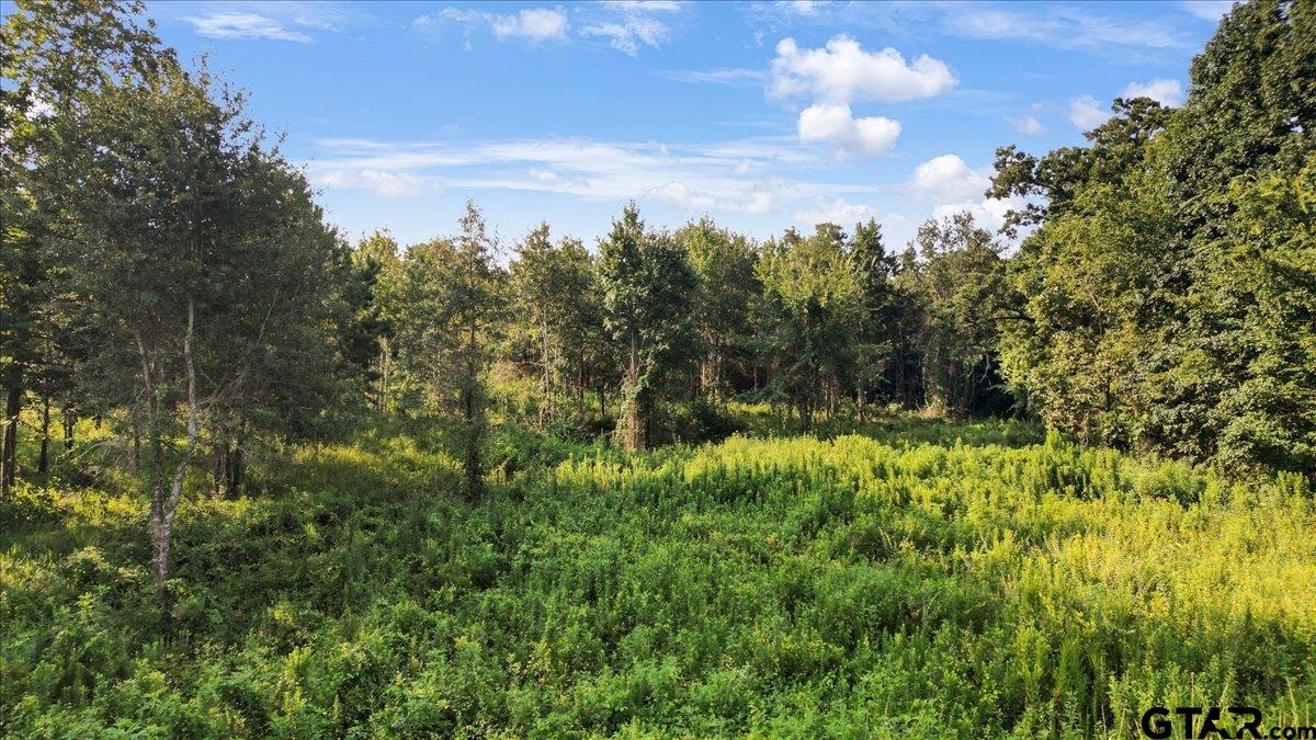 16508 Highway 31 West Tyler, TX 75705 - Photo 13 of 17 a view of a bunch of trees