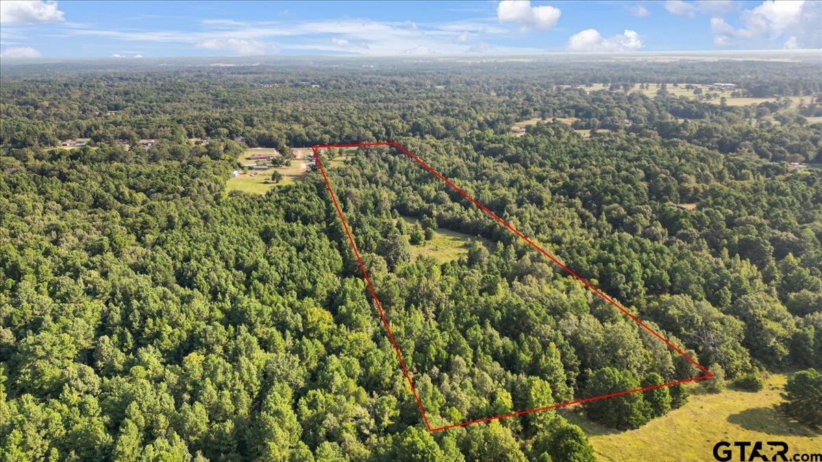 16508 Highway 31 West Tyler, TX 75705 - Photo 3 of 17 a view of a city