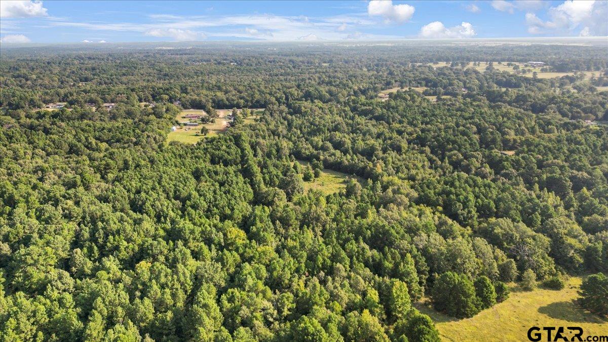 16508 Highway 31 West Tyler, TX 75705 - Photo 4 of 17 a view of a city