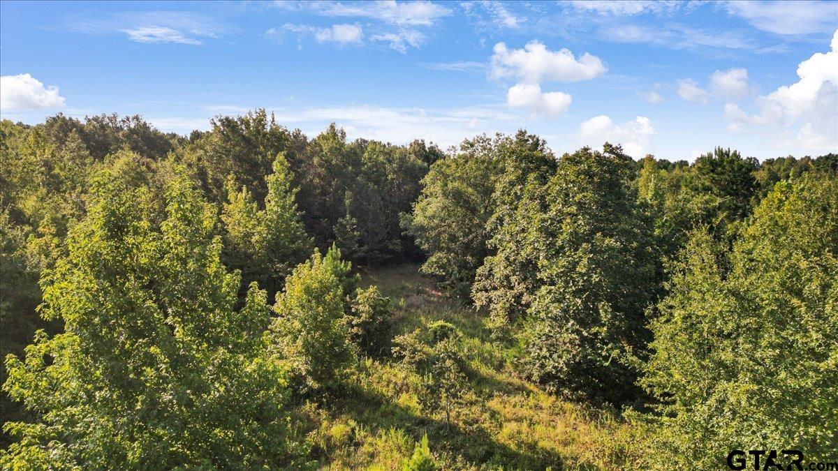 16508 Highway 31 West Tyler, TX 75705 - Photo 10 of 17 a view of a bunch of trees