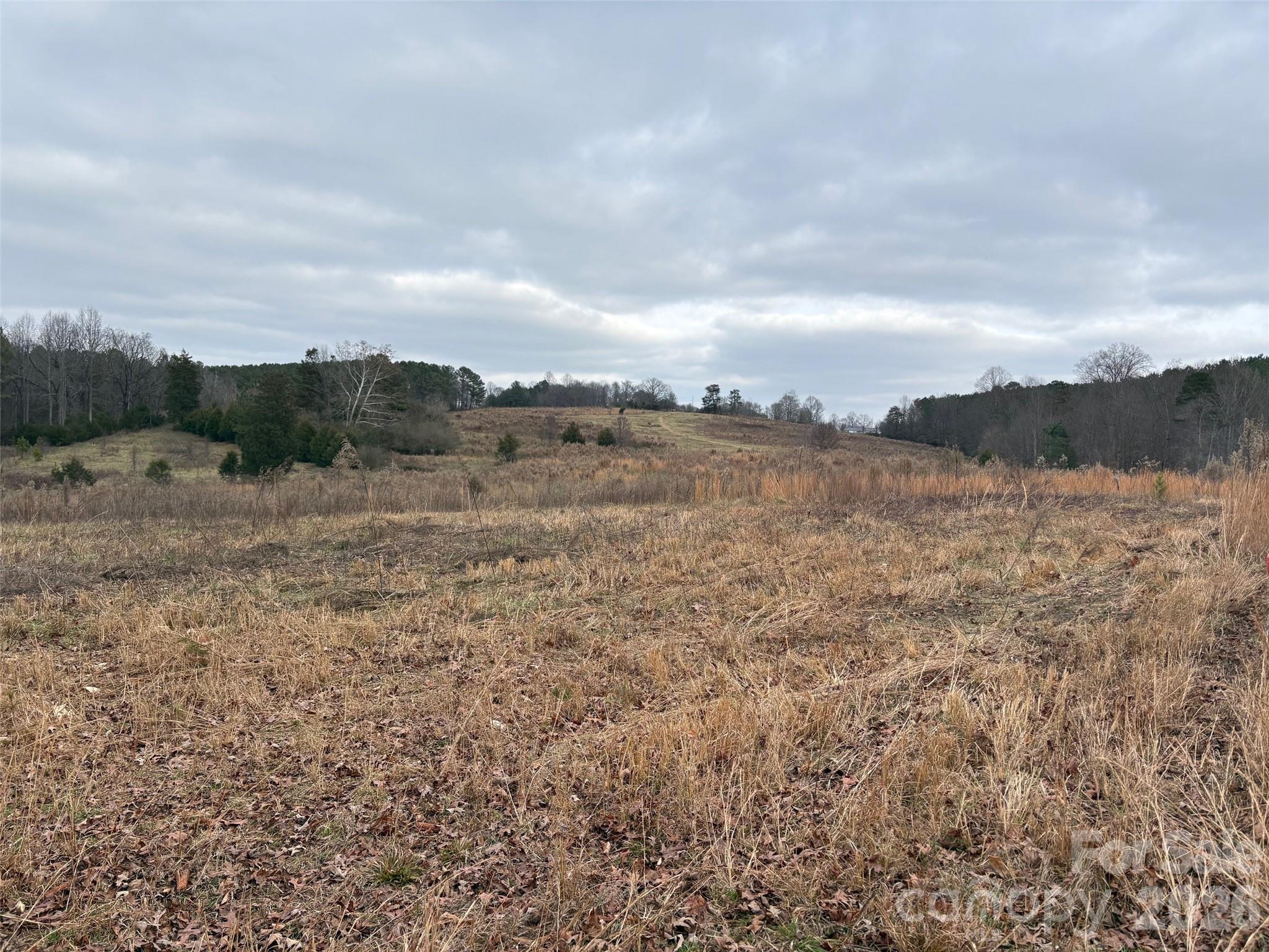 0 Powerhouse Road Lawndale, NC 28090 - Photo 2 of 5 Gallery Image 2