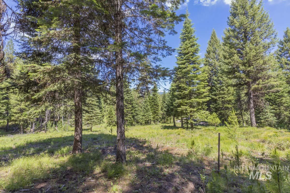 178 Tripod View Drive Cascade, ID 83611 - Photo 10 of 35