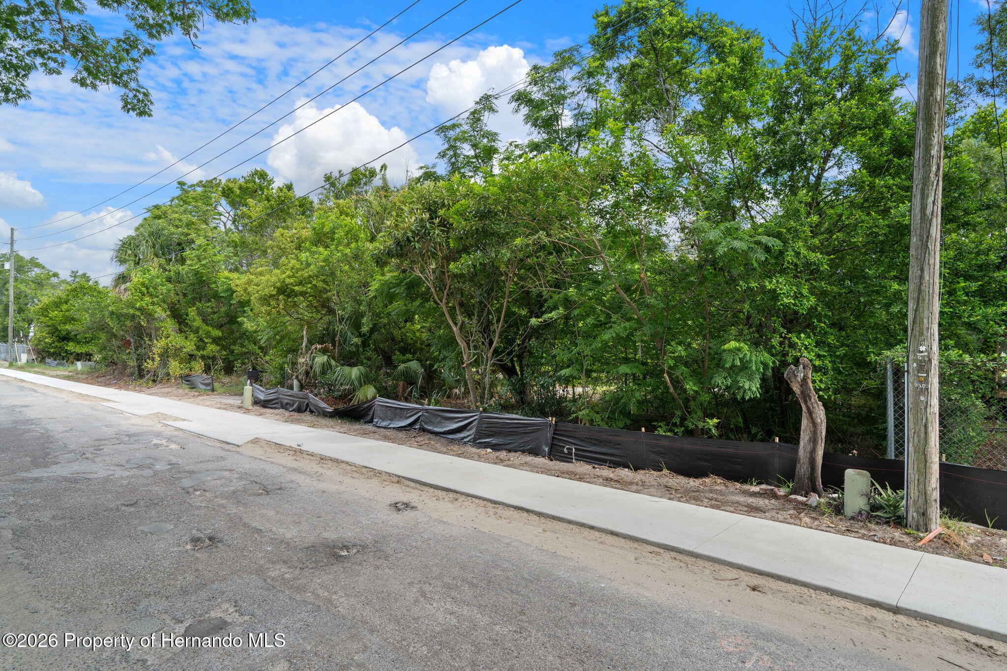7039 Johnson Road Port Richey, FL 34668 - Photo 2 of 20