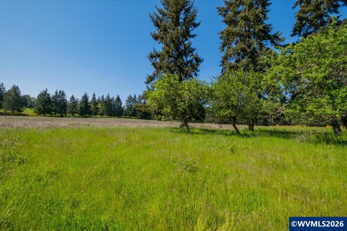 201552 Orchard Tract Road Monroe, OR 97456 - Photo 16 of 19