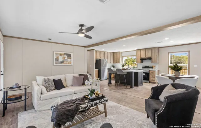 a living room with furniture kitchen view and a potted plant