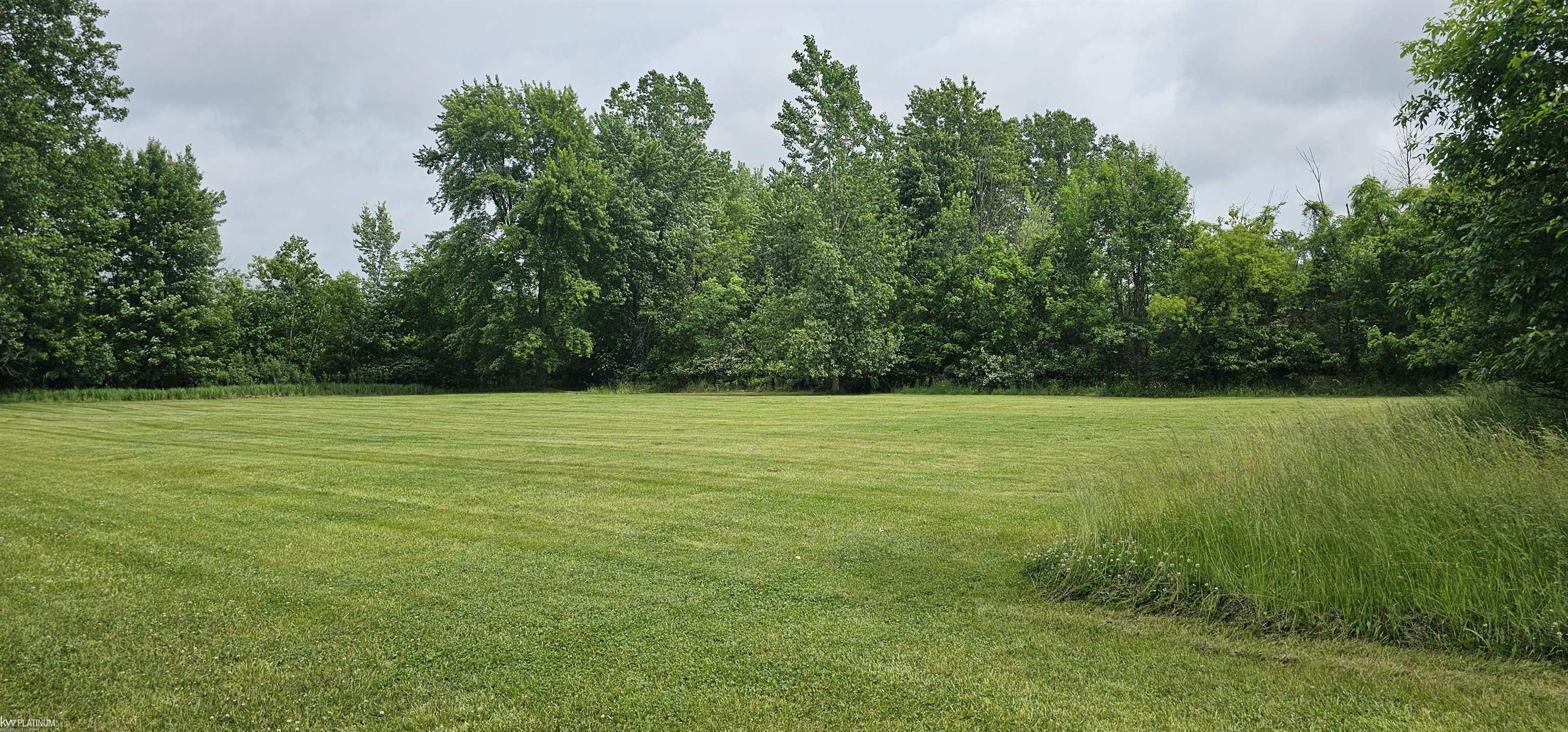 0 Church Street Capac, MI 48014 - Photo 1 of 6