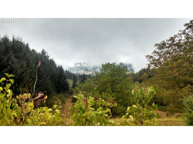 2532 Berge Road Stevenson, WA 98648 - Photo 8 of 16 Gallery Image 8