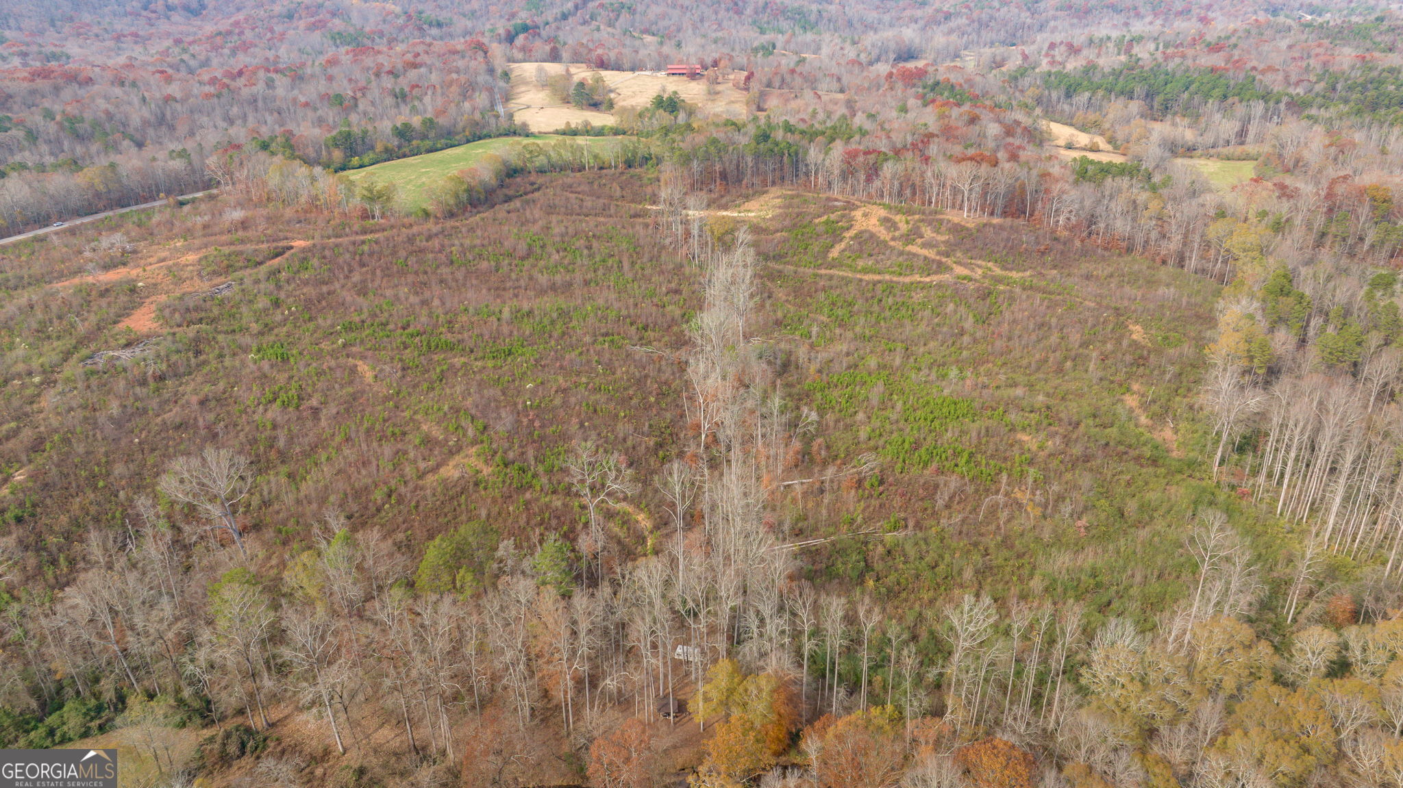 0 Apple Pie Ridge, Unit TRACT TWO Alto, GA 30510 - Photo 13 of 21