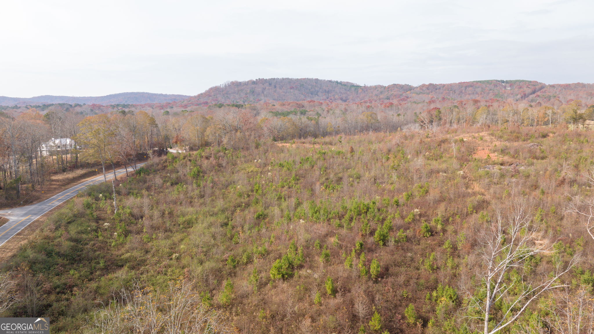 0 Apple Pie Ridge, Unit TRACT TWO Alto, GA 30510 - Photo 4 of 21