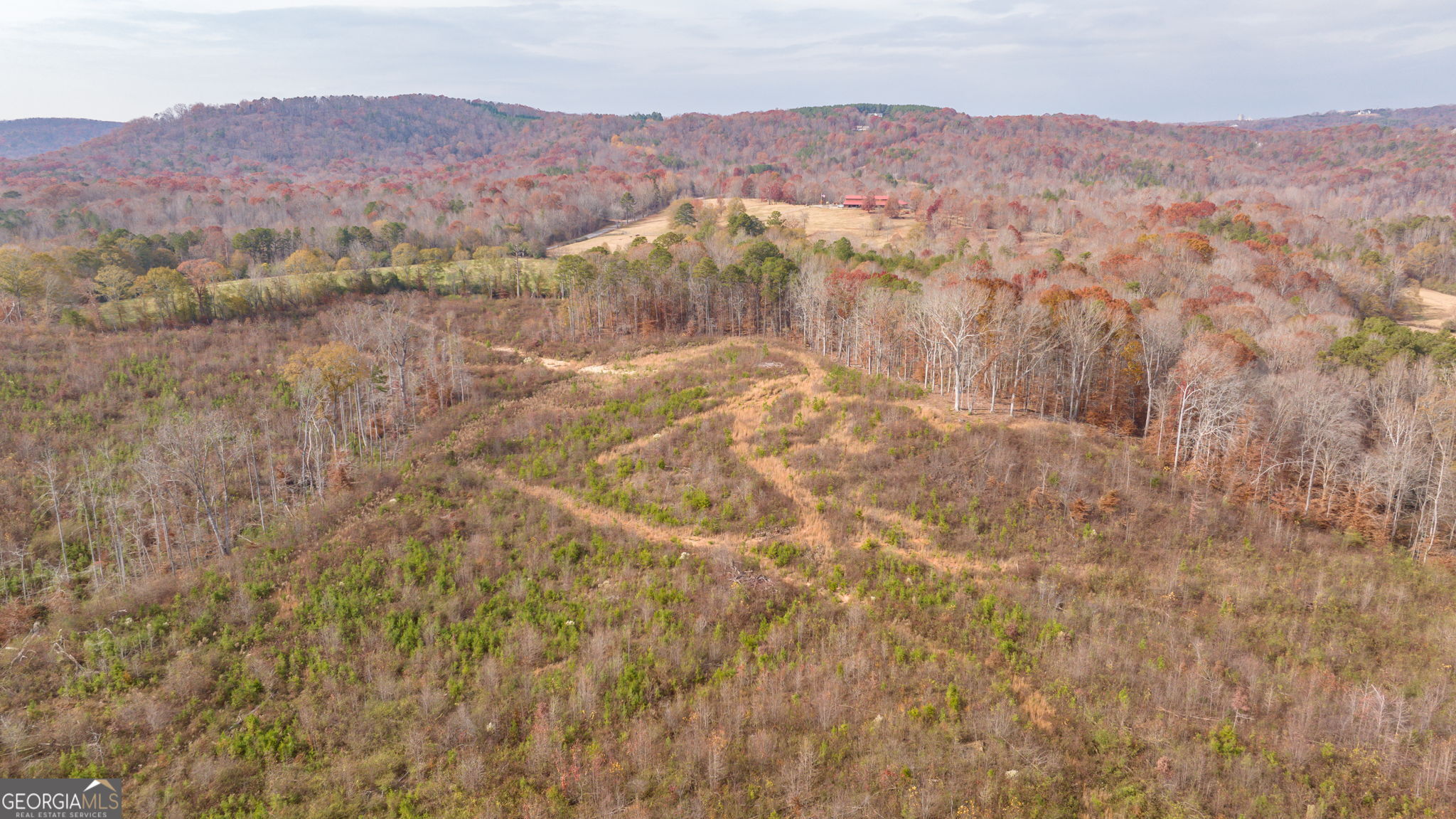 0 Apple Pie Ridge, Unit TRACT TWO Alto, GA 30510 - Photo 5 of 21
