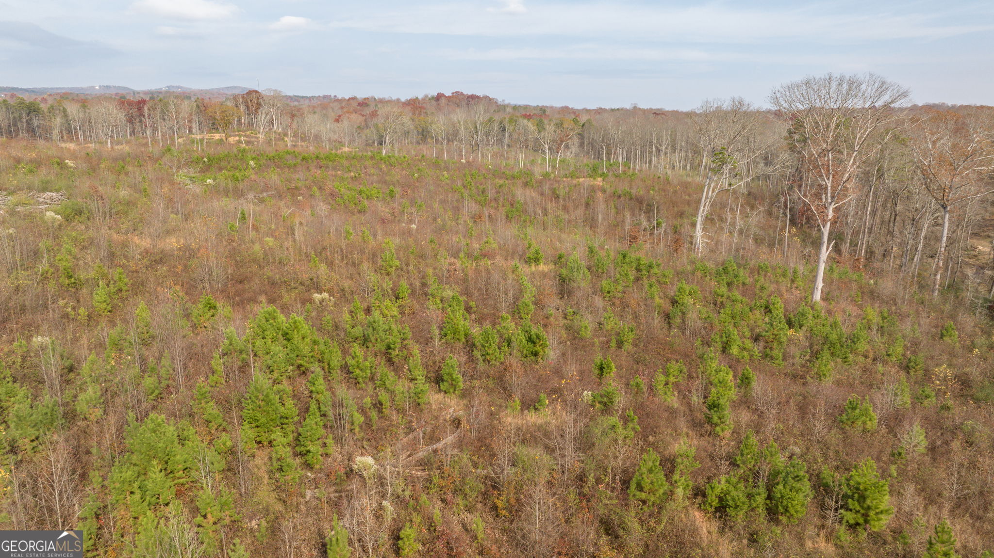 0 Apple Pie Ridge, Unit TRACT TWO Alto, GA 30510 - Photo 8 of 21