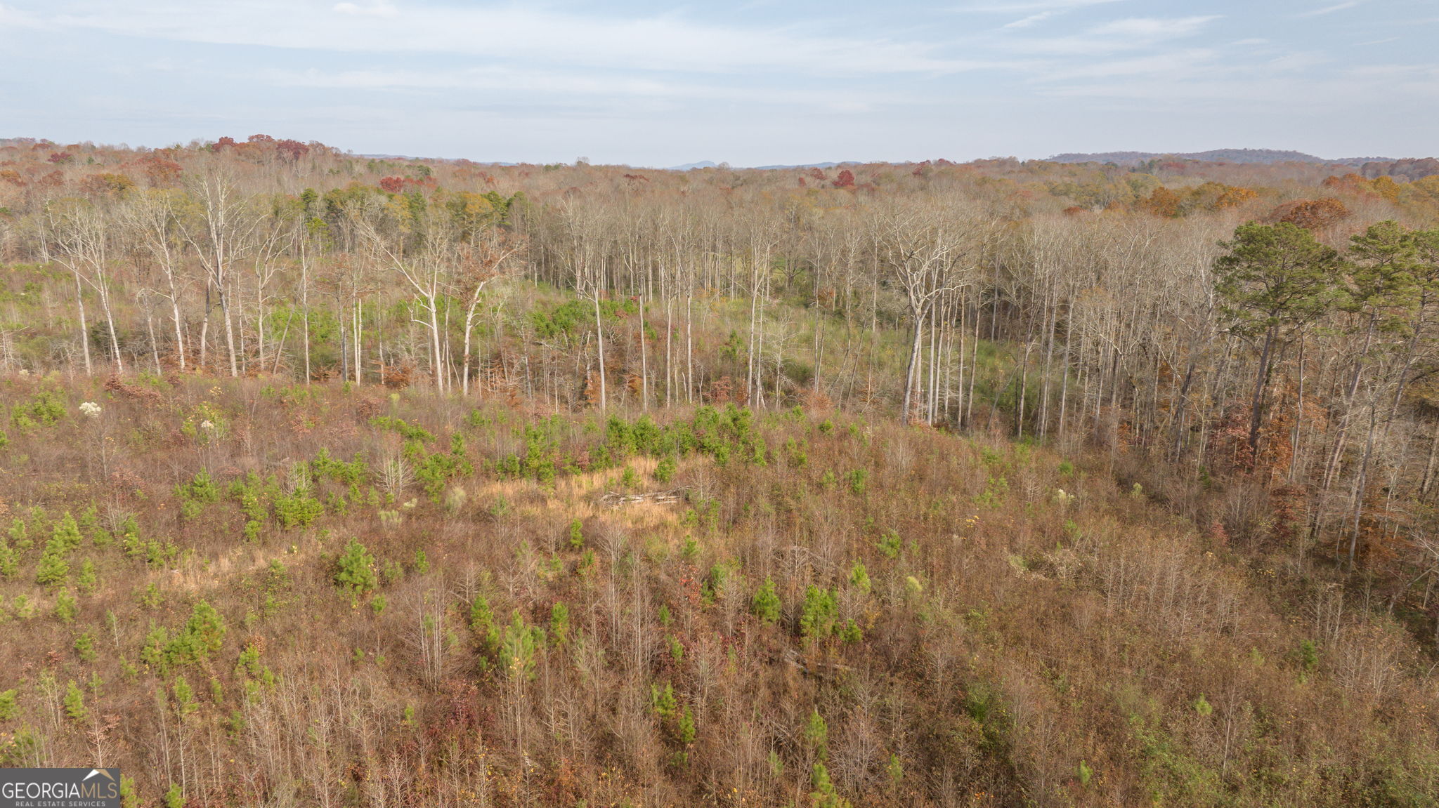 0 Apple Pie Ridge, Unit TRACT TWO Alto, GA 30510 - Photo 9 of 21