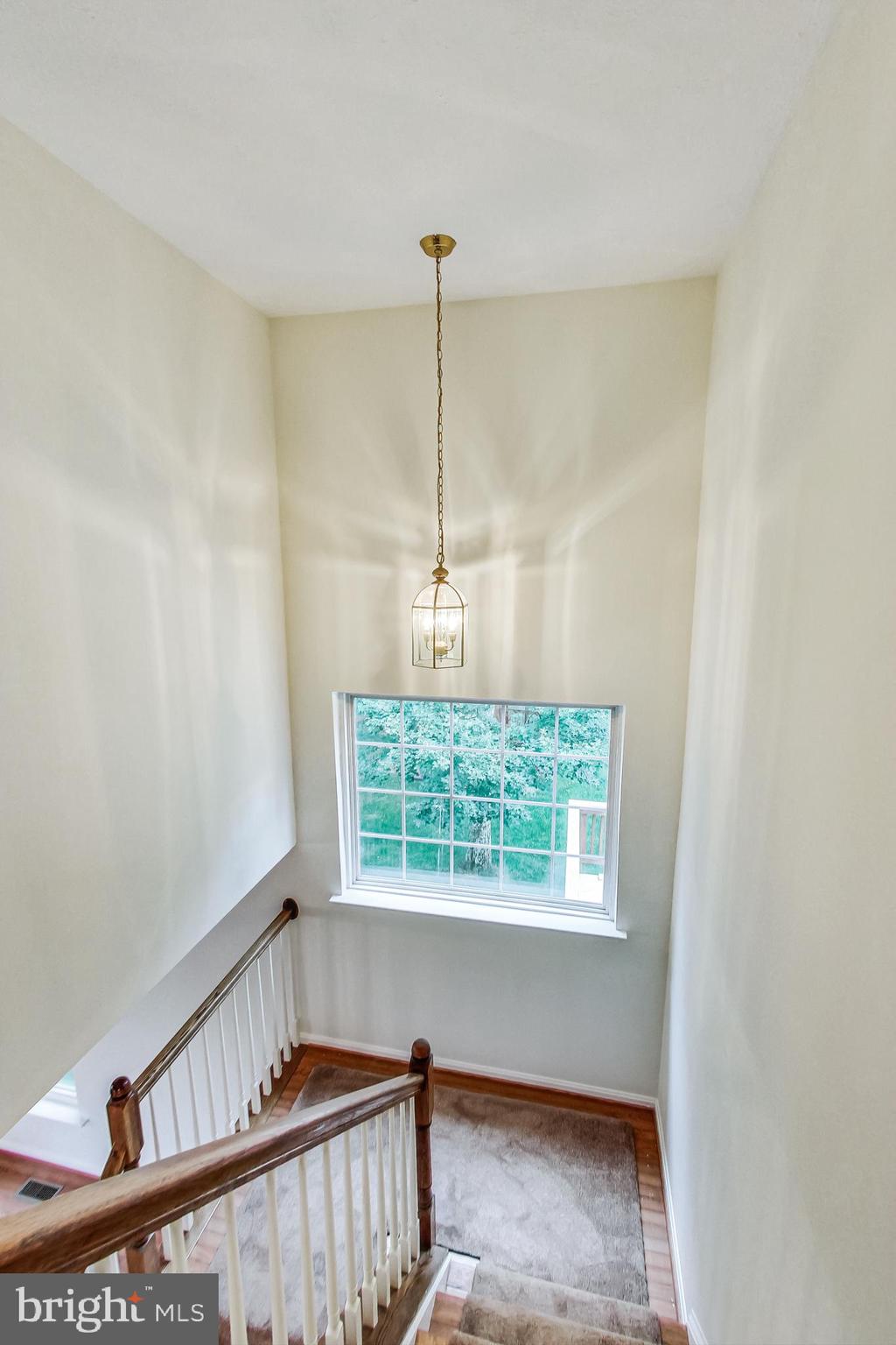 113 Myrtleleaf Circle La Plata, MD 20646 - Photo 24 of 57