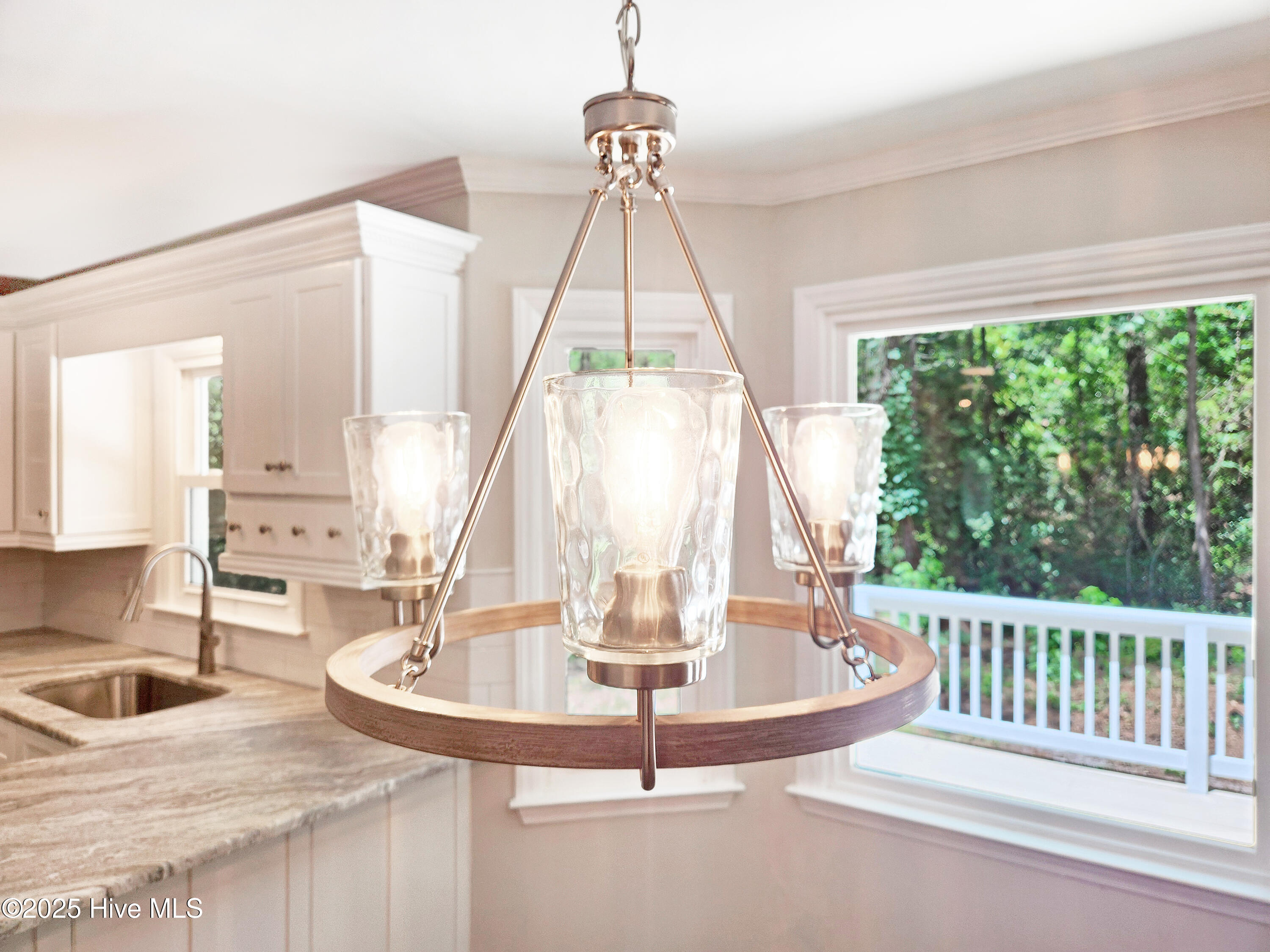 10250 Timber Ridge Court Southeast Leland, NC 28451 - Photo 11 of 67 IMG_0892