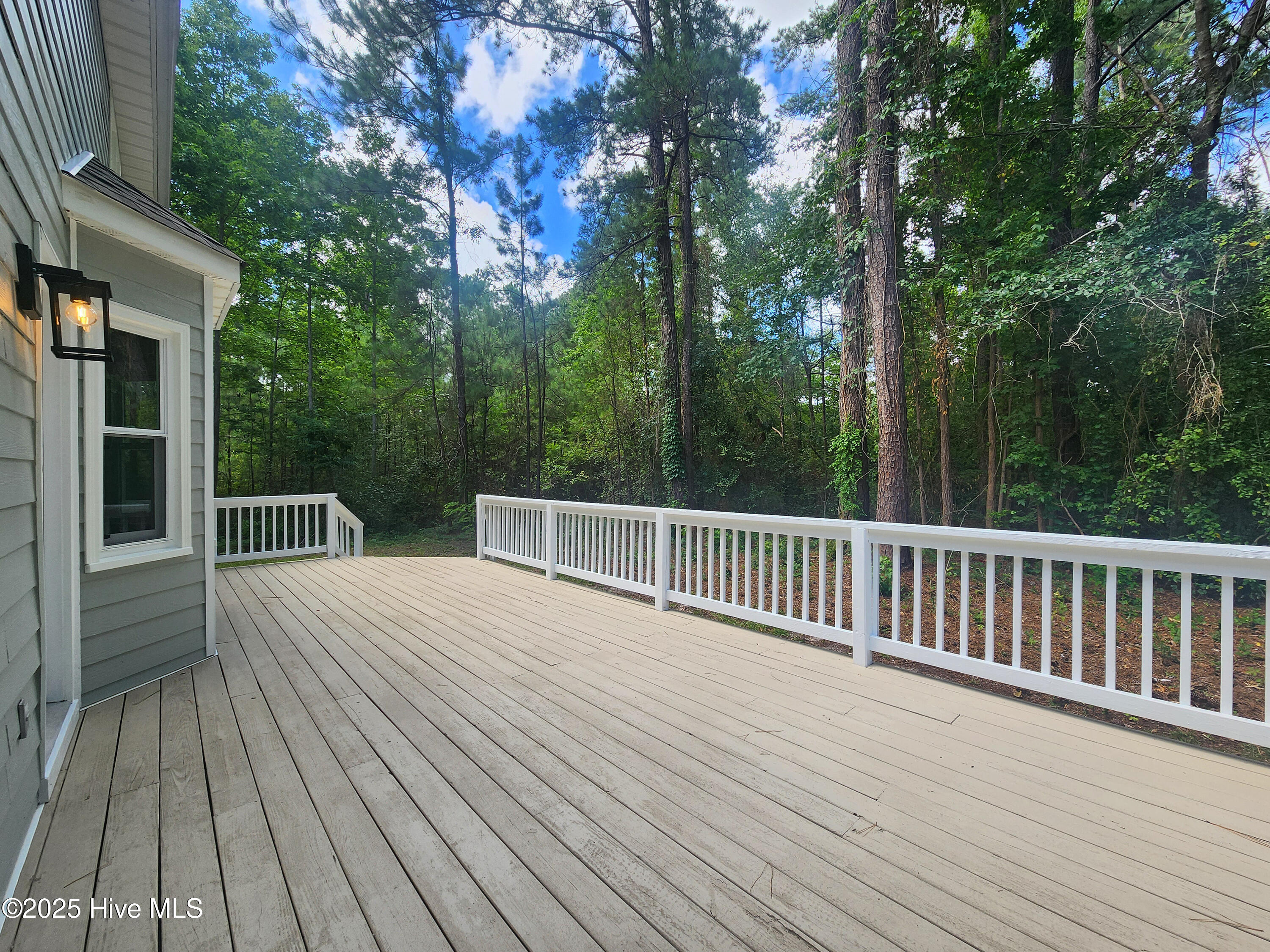 10250 Timber Ridge Court Southeast Leland, NC 28451 - Photo 46 of 67 IMG_0960