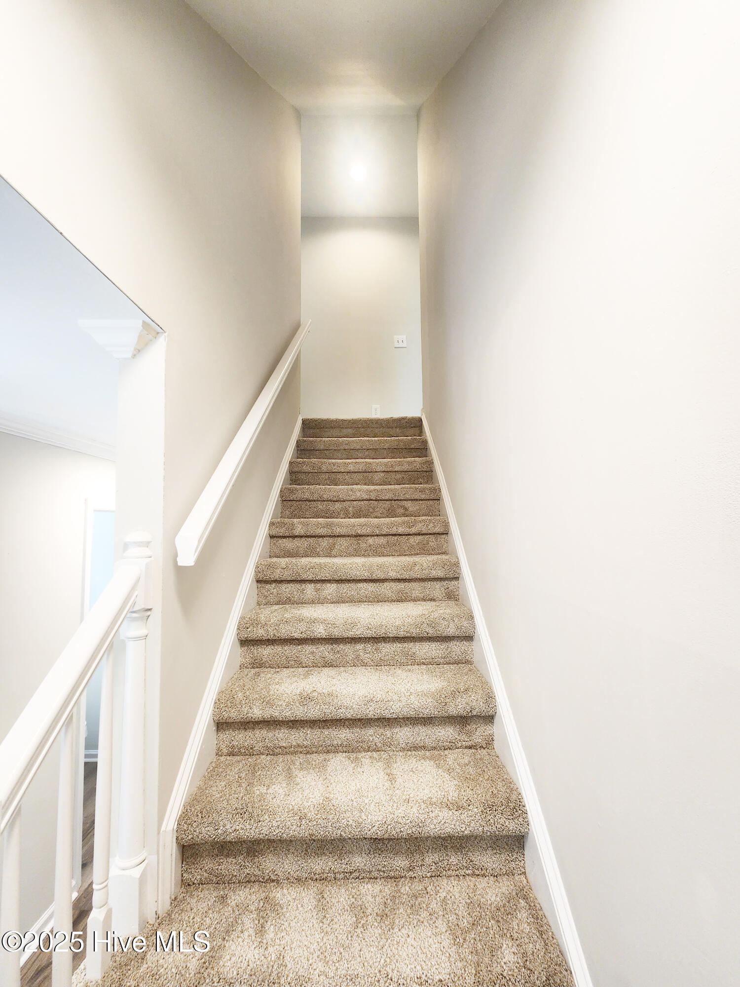 10250 Timber Ridge Court Southeast Leland, NC 28451 - Photo 55 of 67 IMG_0904