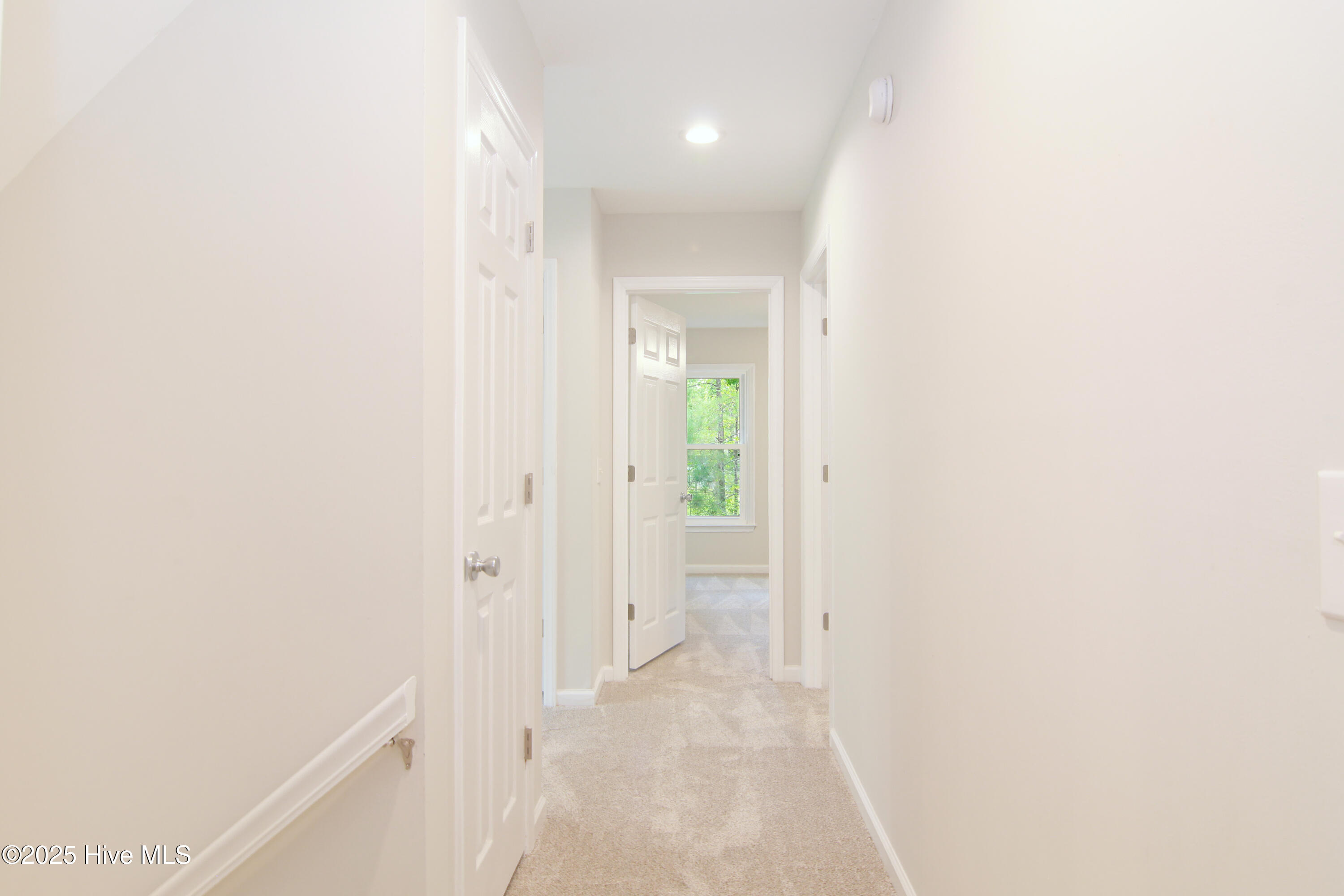 10250 Timber Ridge Court Southeast Leland, NC 28451 - Photo 58 of 67 IMG_0907