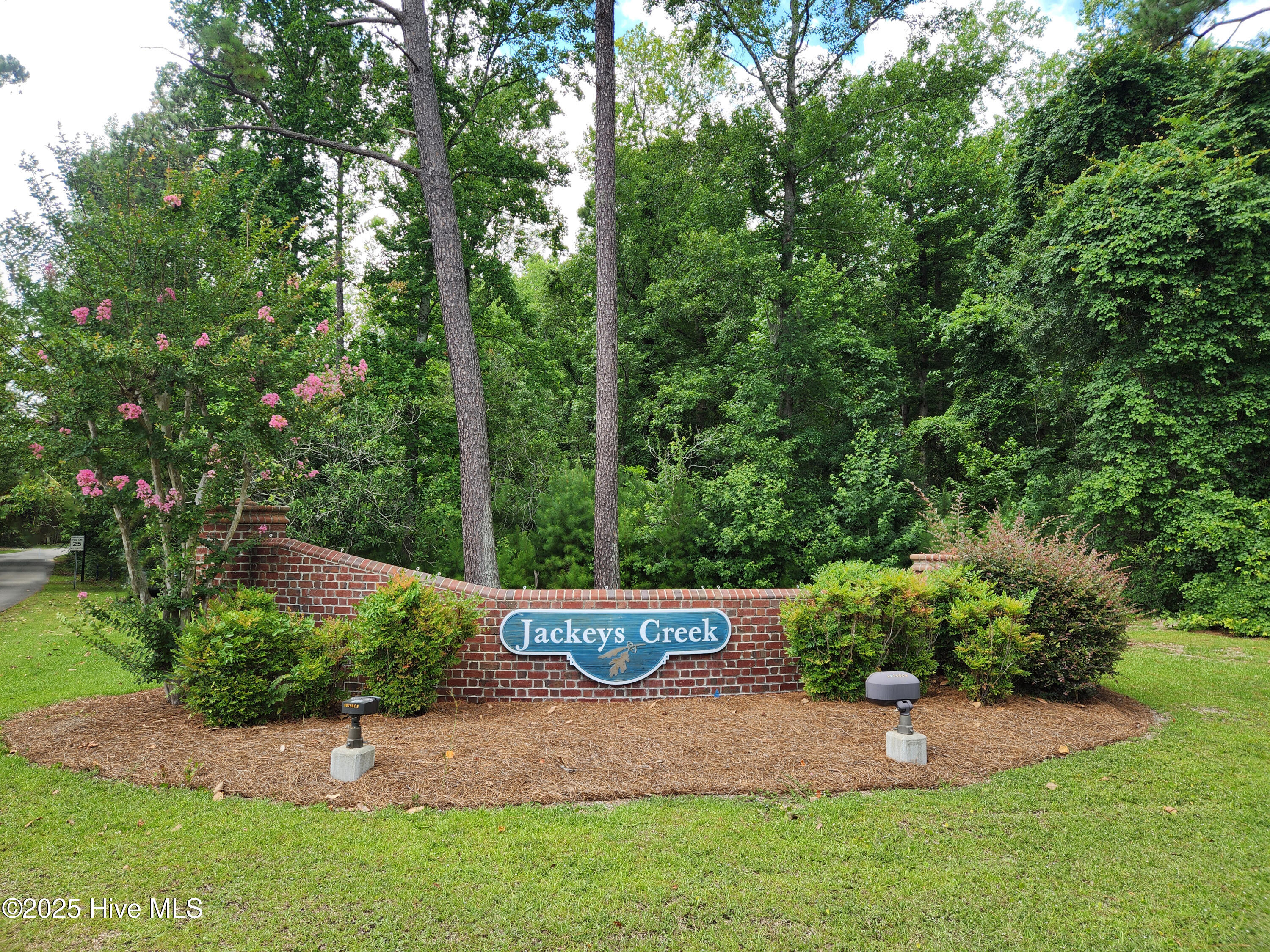 10250 Timber Ridge Court Southeast Leland, NC 28451 - Photo 61 of 67 IMG_0971