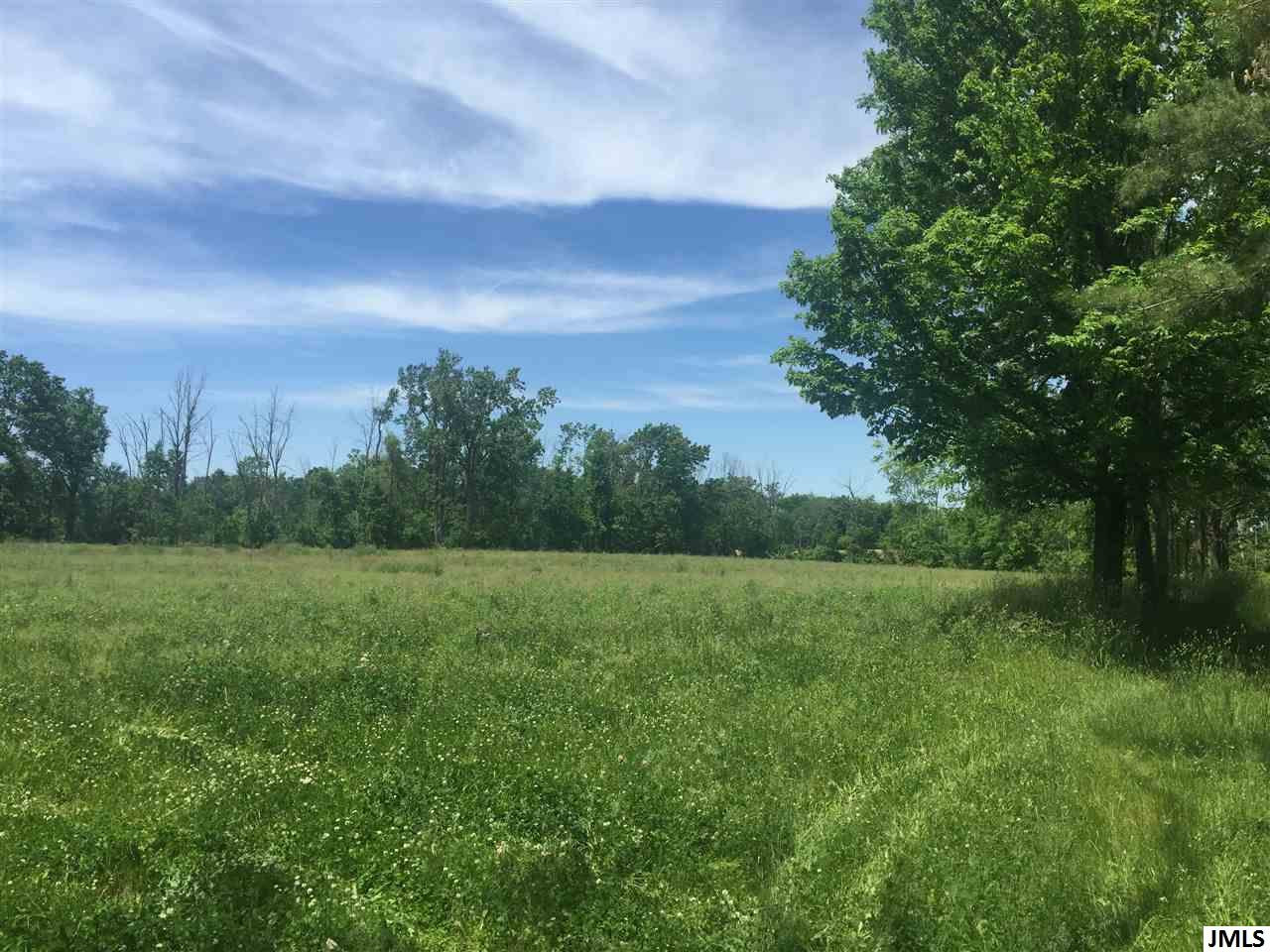 Vl County Farm Road Parma, MI 49269 - Photo 3 of 4 Photo 3