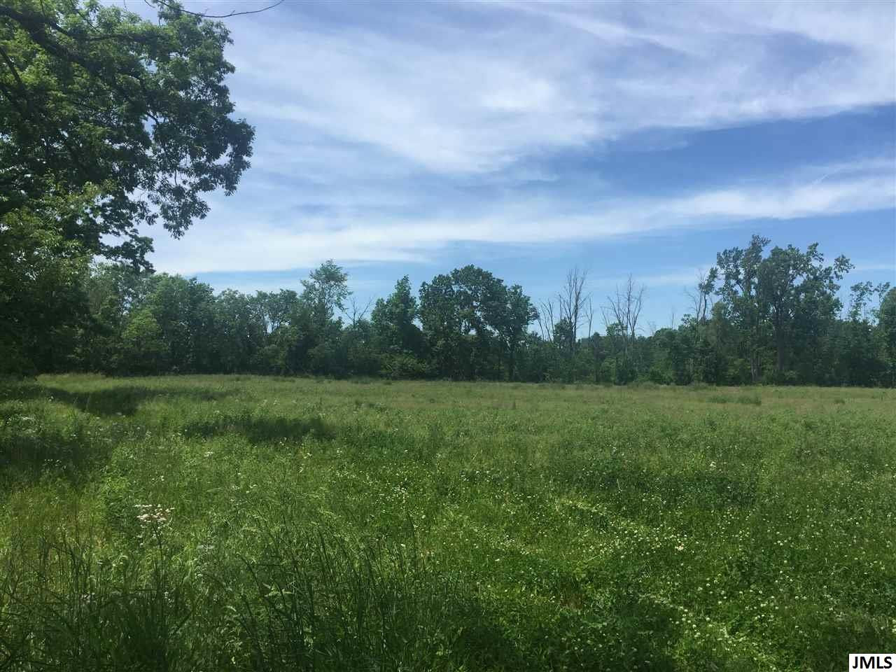 Vl County Farm Road Parma, MI 49269 - Photo 4 of 4 Photo 4