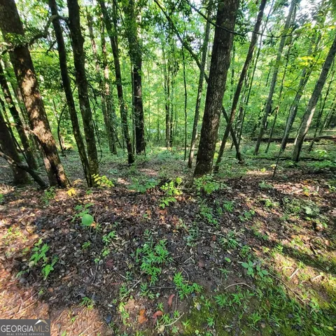 a view of outdoor space and green space