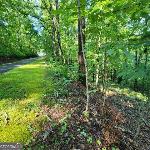 a view of outdoor space and yard