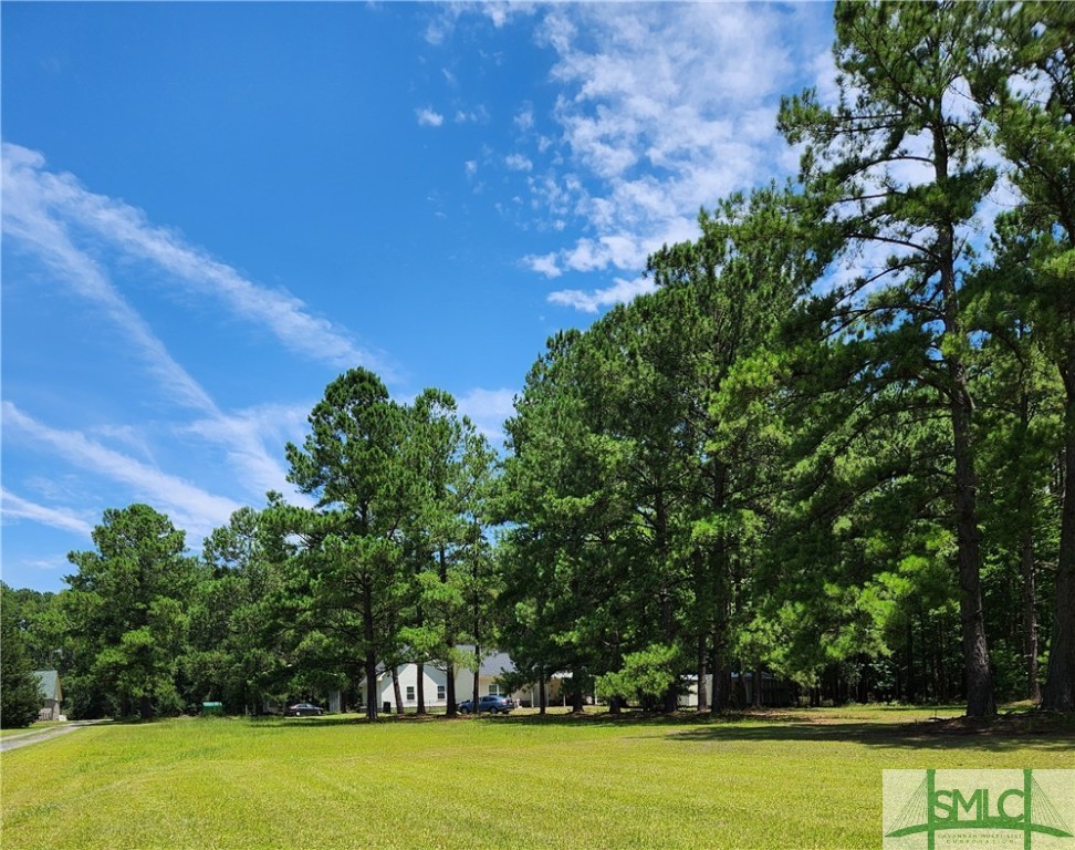 479 Shearouse Road Guyton, GA 31312 - Photo 6 of 32 Rear of lot looking toward back of Homes