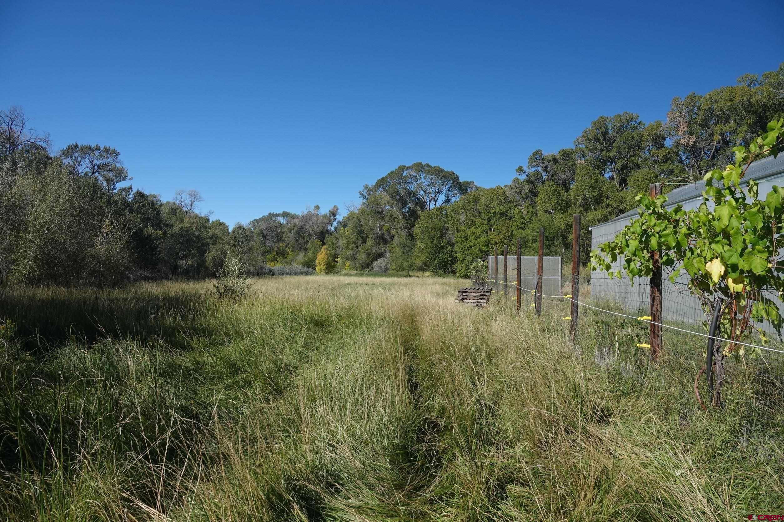 15835 Black Bridge Road Paonia, CO 81428 - Photo 12 of 35 a view of a lake view with a garden