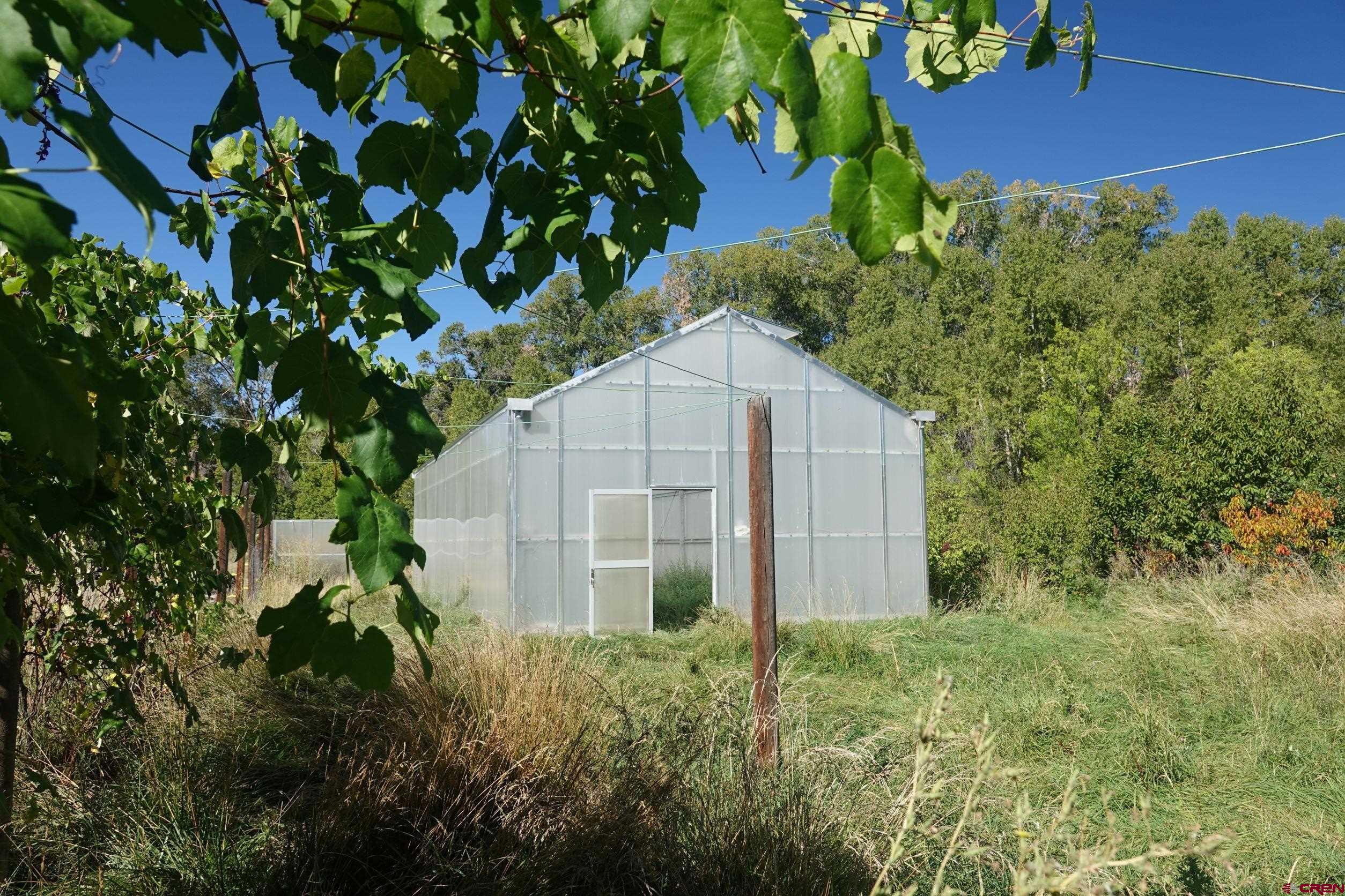 15835 Black Bridge Road Paonia, CO 81428 - Photo 15 of 35 a backyard of a house with lots of green space