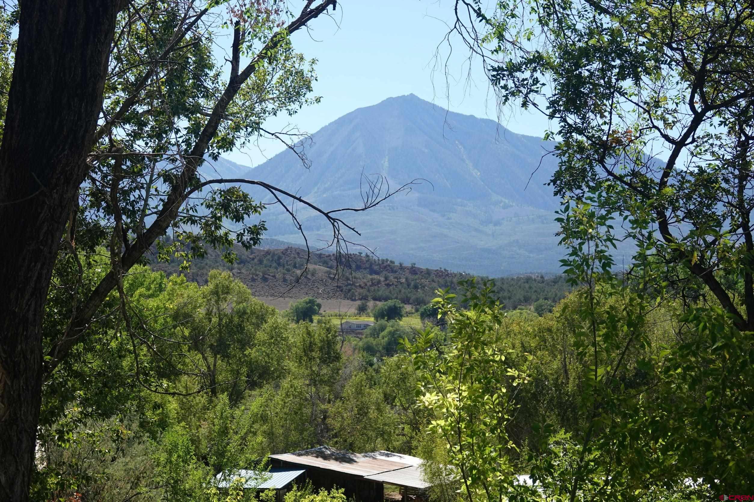 15835 Black Bridge Road Paonia, CO 81428 - Photo 2 of 35 a view of a backyard