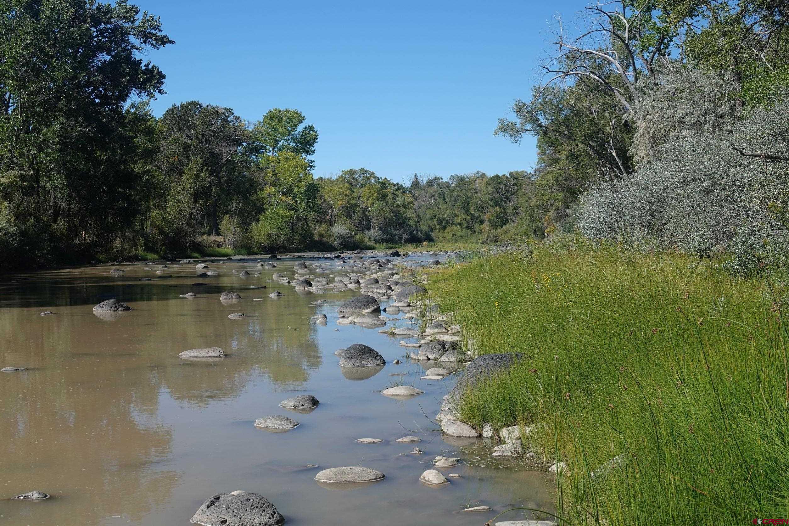 15835 Black Bridge Road Paonia, CO 81428 - Photo 3 of 35