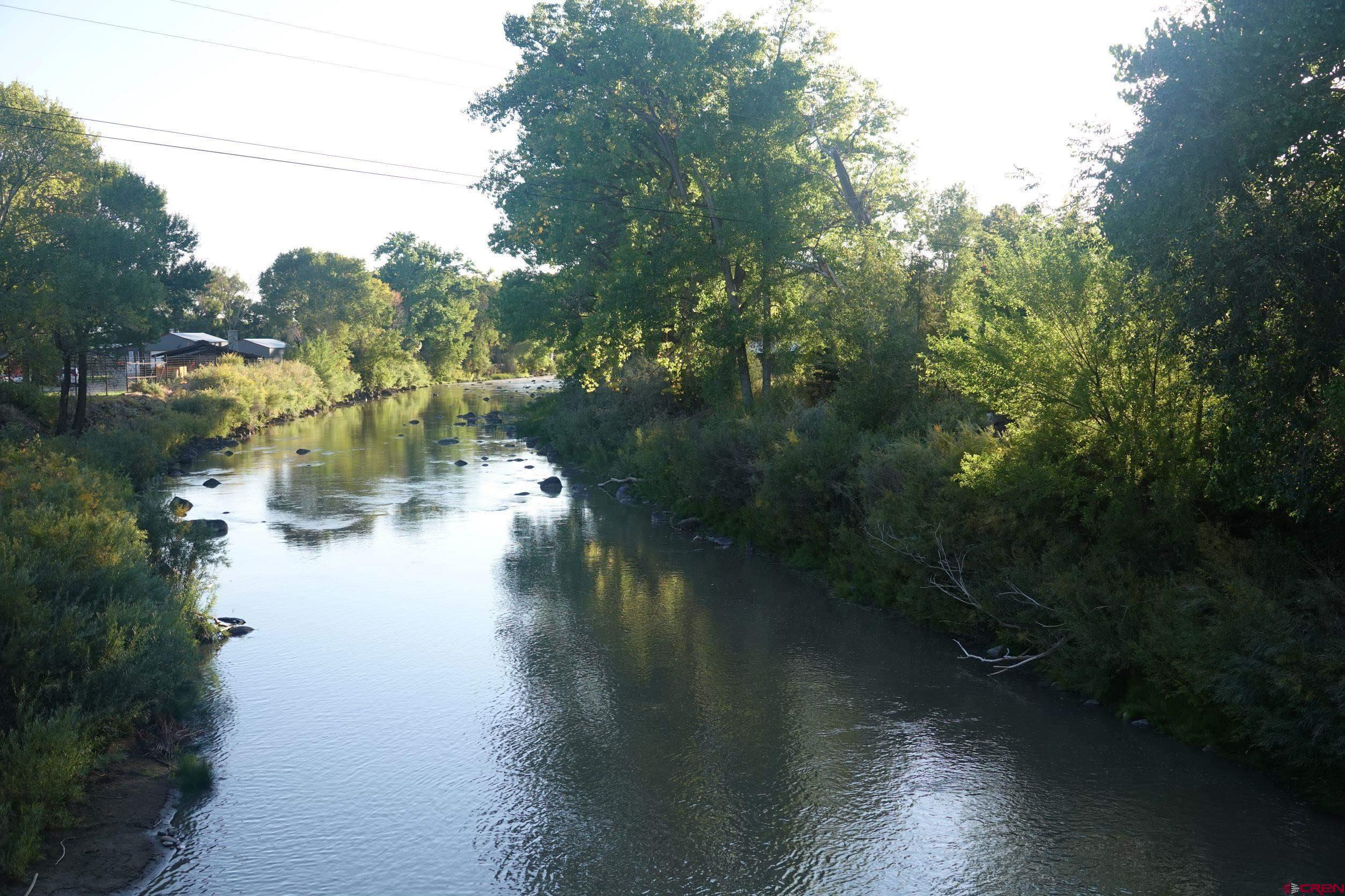 15835 Black Bridge Road Paonia, CO 81428 - Photo 4 of 35