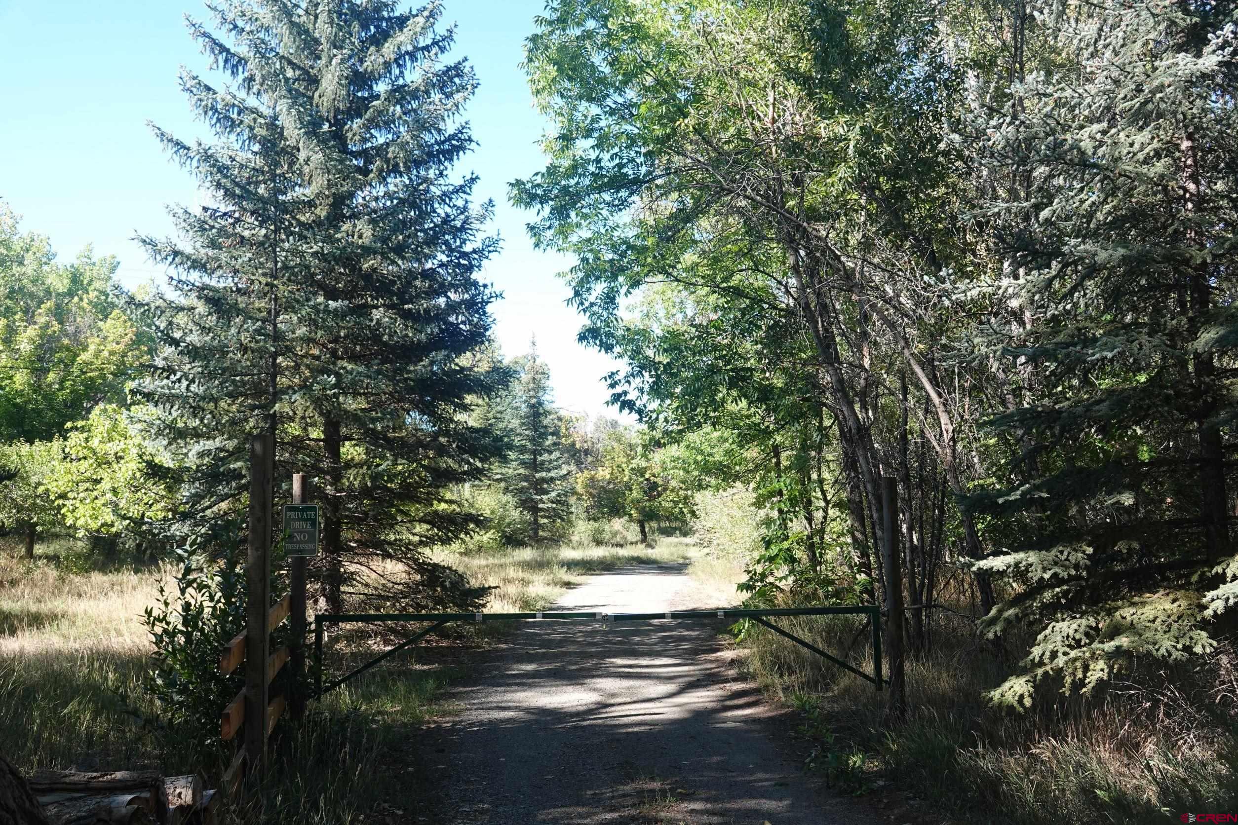 15835 Black Bridge Road Paonia, CO 81428 - Photo 6 of 35 a view of yard with trees