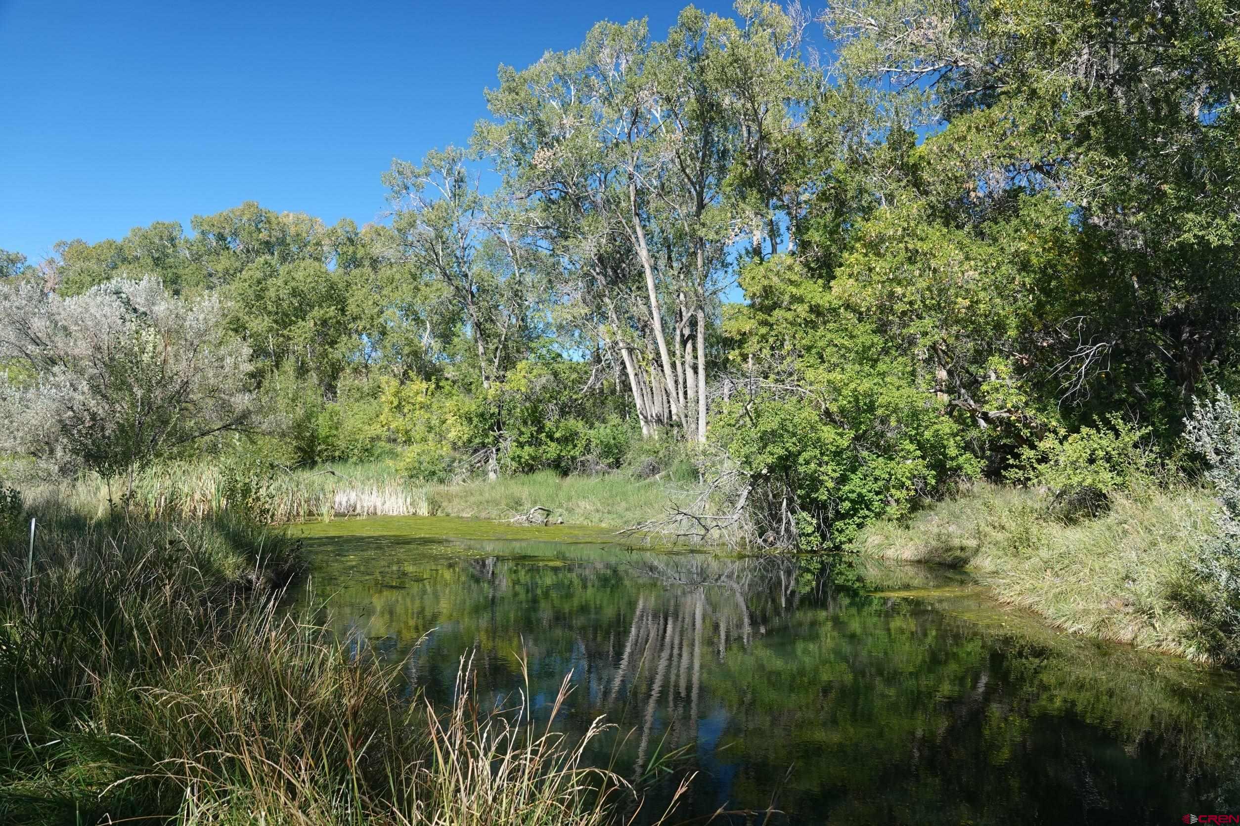 15835 Black Bridge Road Paonia, CO 81428 - Photo 8 of 35 a view of a garden with a lake