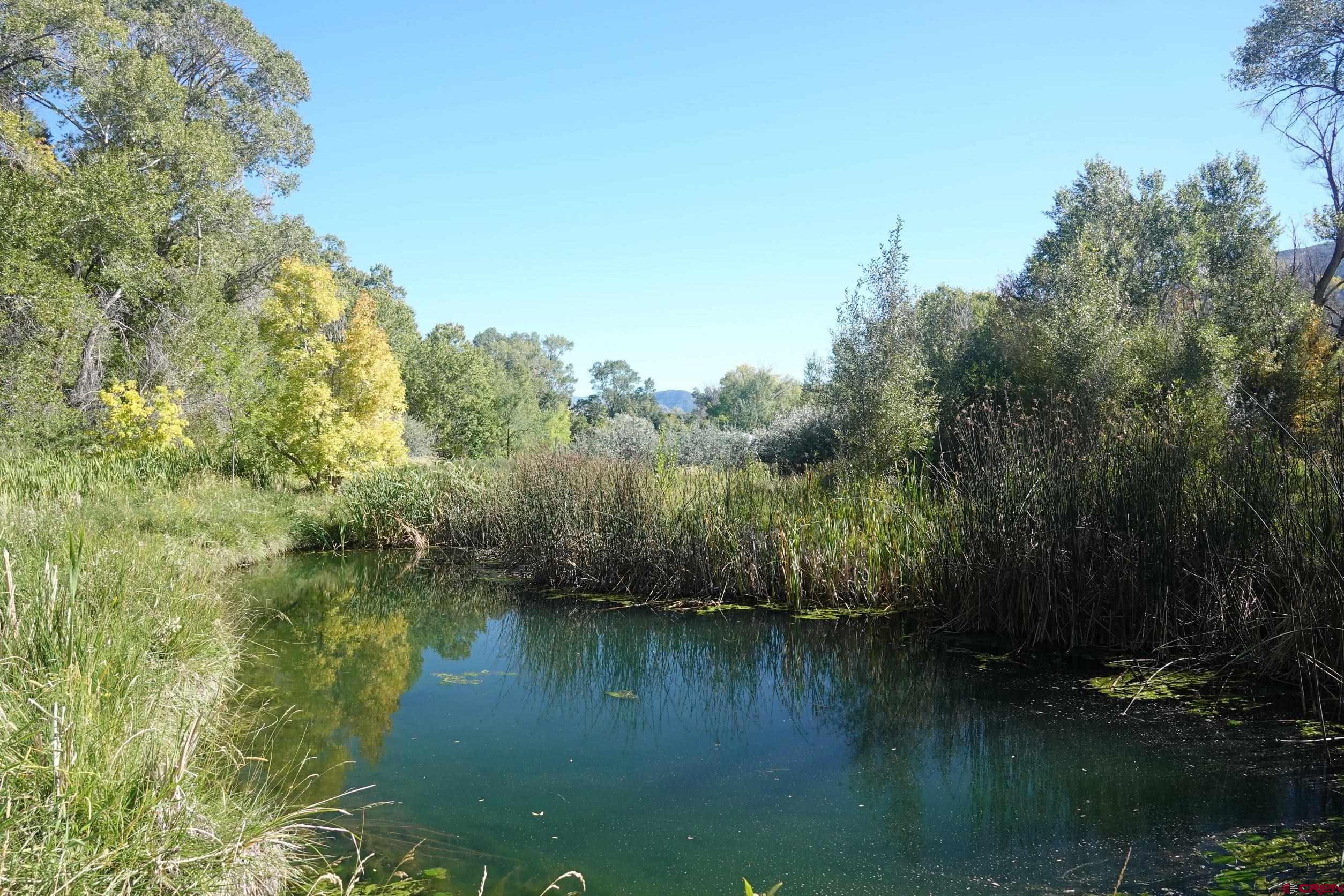 15835 Black Bridge Road Paonia, CO 81428 - Photo 9 of 35