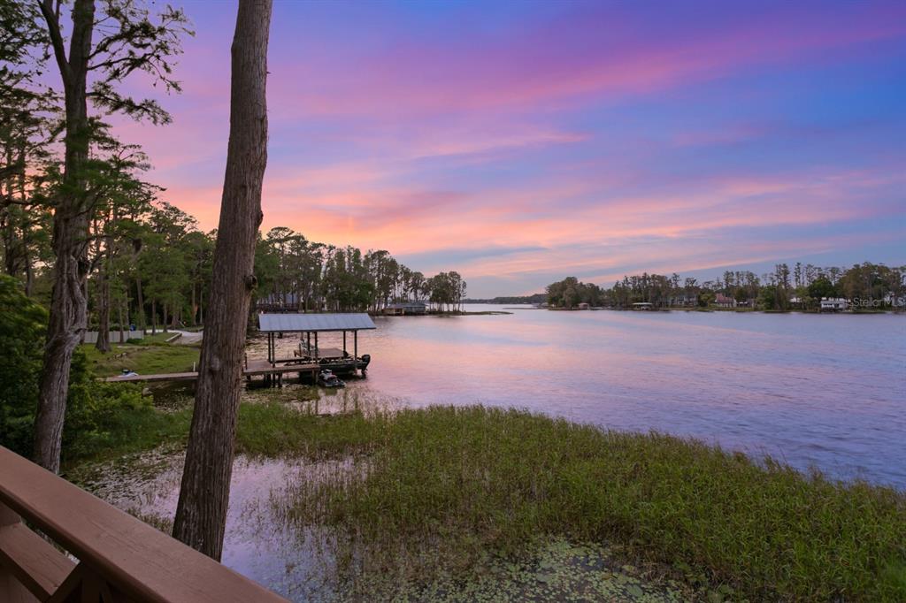 8817 Roberts Road Odessa, FL 33556 - Photo 15 of 100