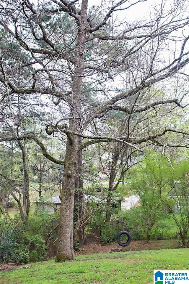 2153 Chapel Hill Road Birmingham, AL 35216 - Photo 22 of 28