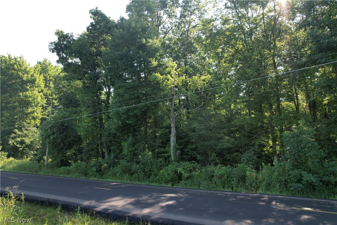 North Mahoning Portage County Line Road Lake Milton, OH 44429 - Photo 5 of 15 Gallery Image 5