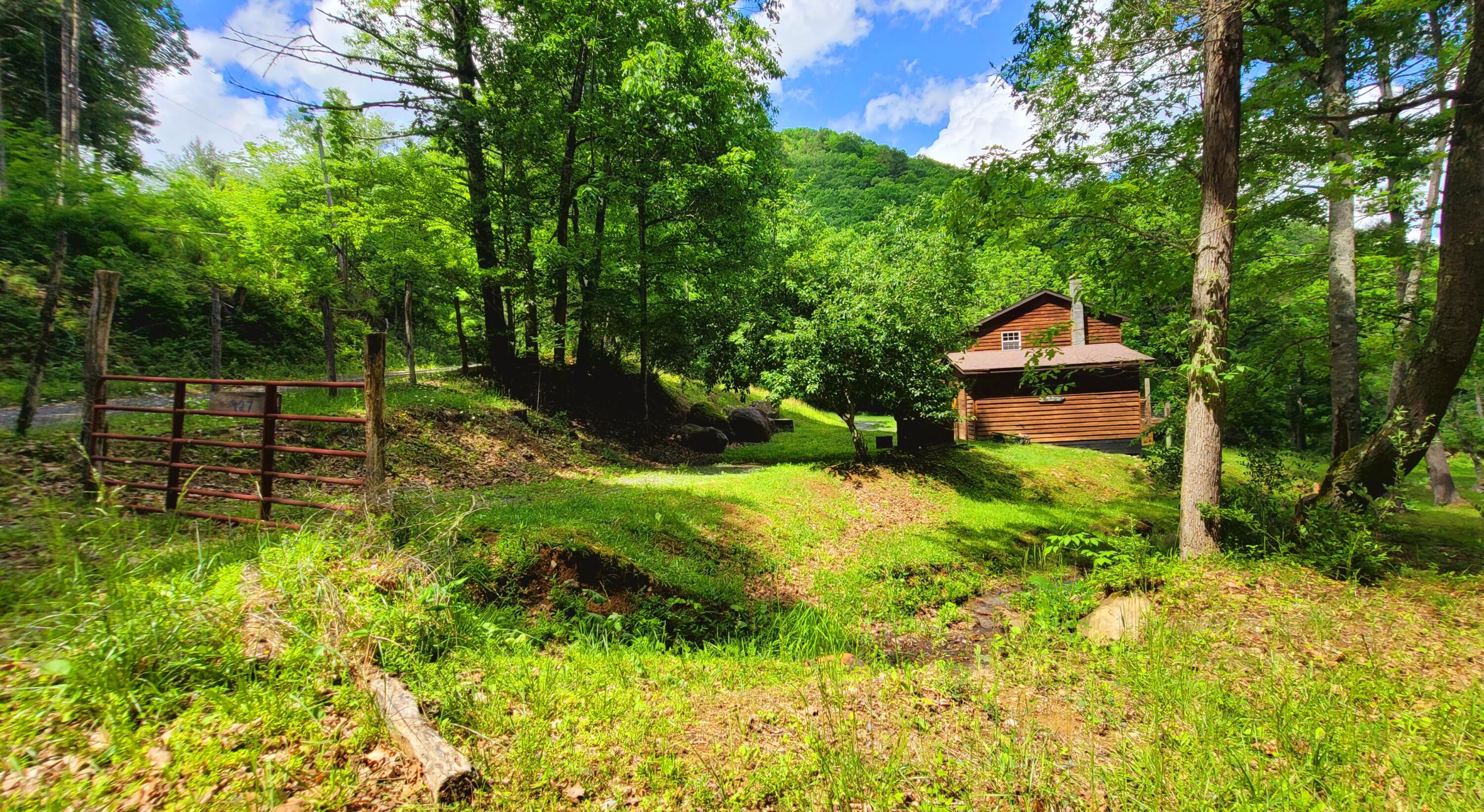 927 Bluestone River Road Jumping Branch, WV 25969 - Photo 9 of 70 Gallery Image 9