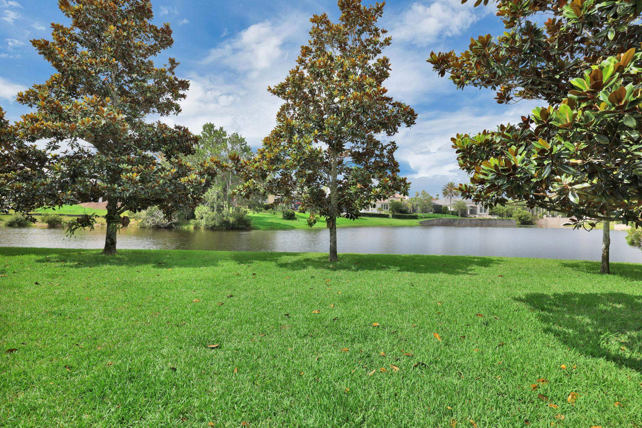 159 La Mesa Drive St. Augustine, FL 32095 - Photo 42 of 85 a view of a yard with a tree