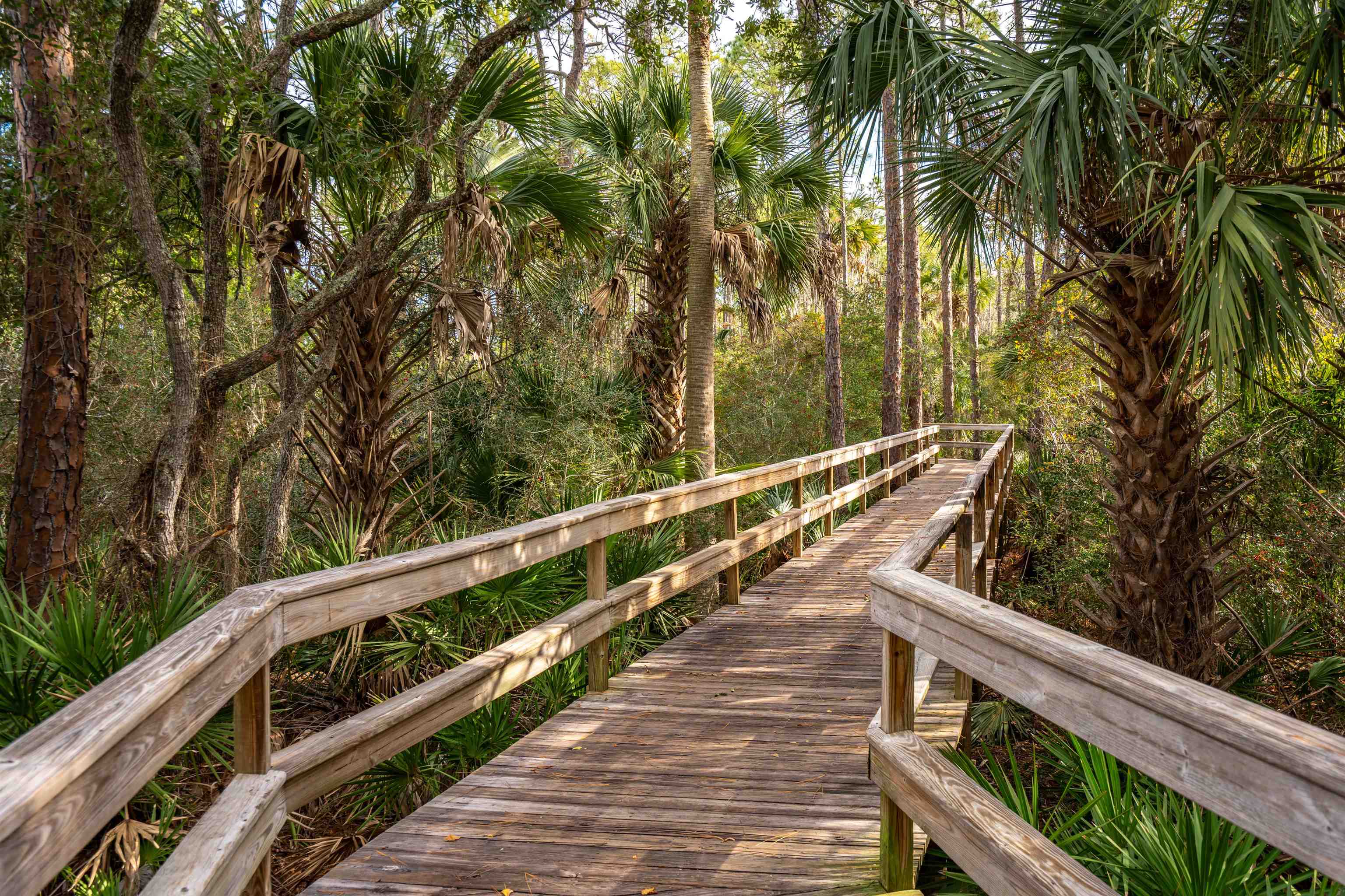 159 La Mesa Drive St. Augustine, FL 32095 - Photo 55 of 85