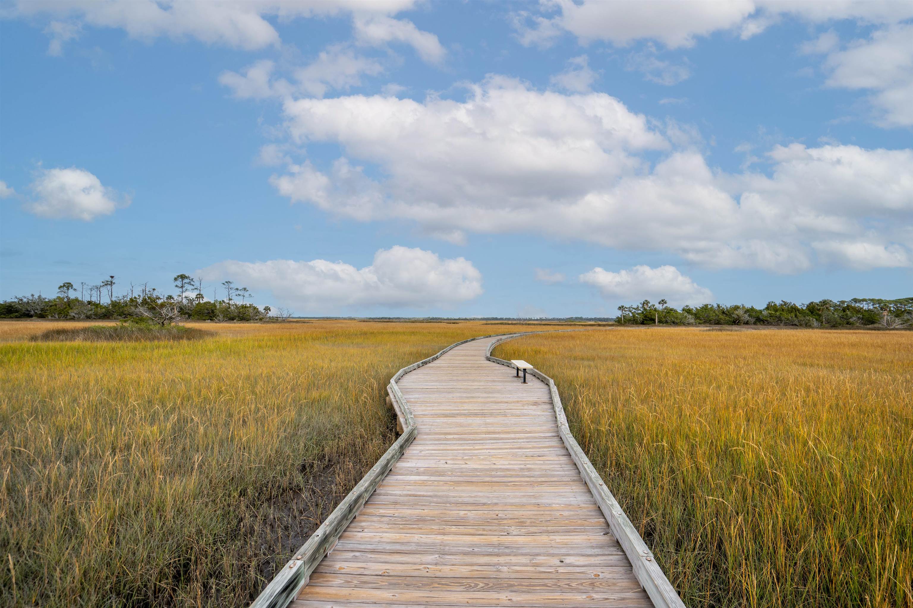 159 La Mesa Drive St. Augustine, FL 32095 - Photo 56 of 85