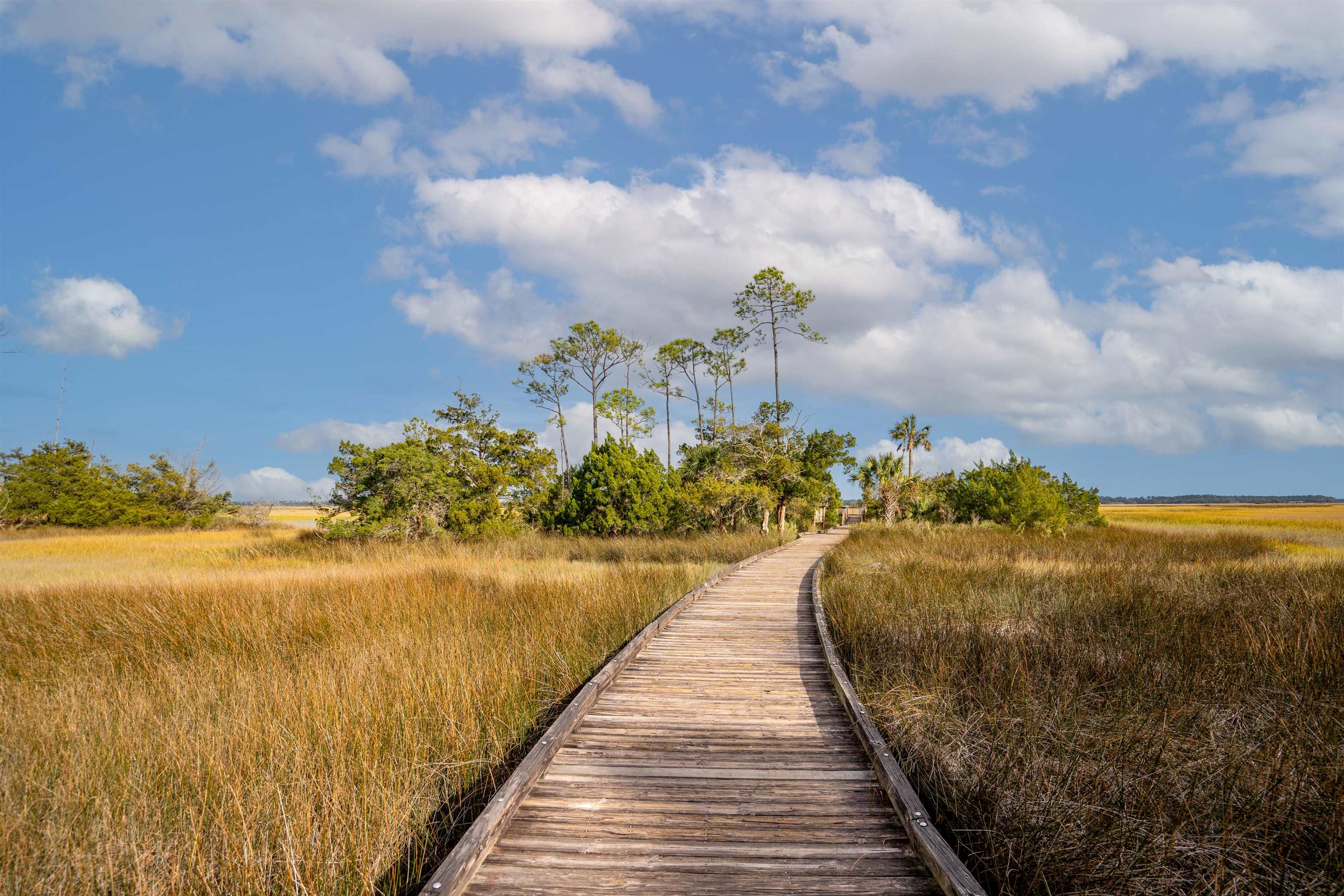 159 La Mesa Drive St. Augustine, FL 32095 - Photo 57 of 85
